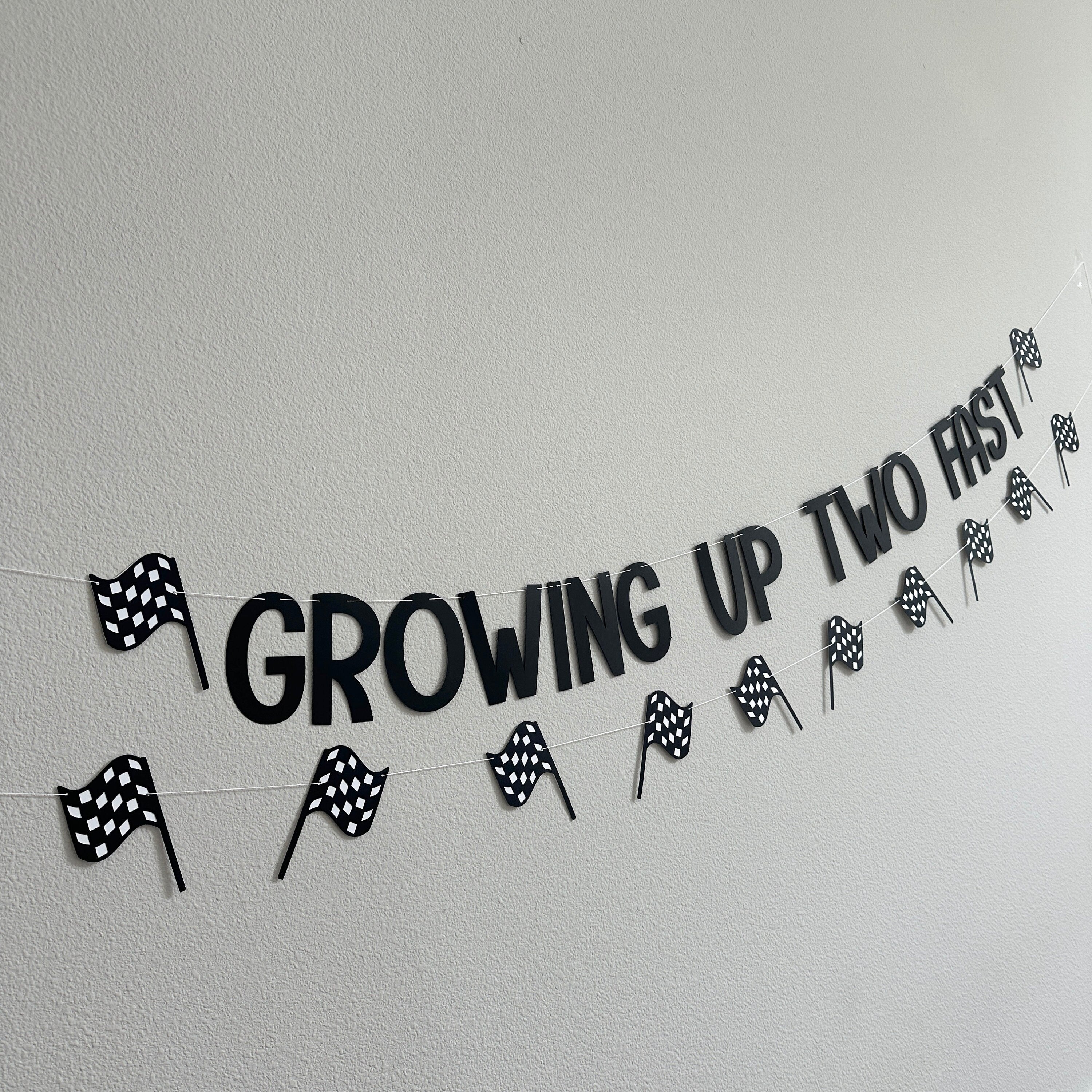 Growing Up Two Fast, Growing Up Two Fast Banner, Racing Decorations, Race Car Birthday Party, Racing Birthday Party, Custom Racing Banner