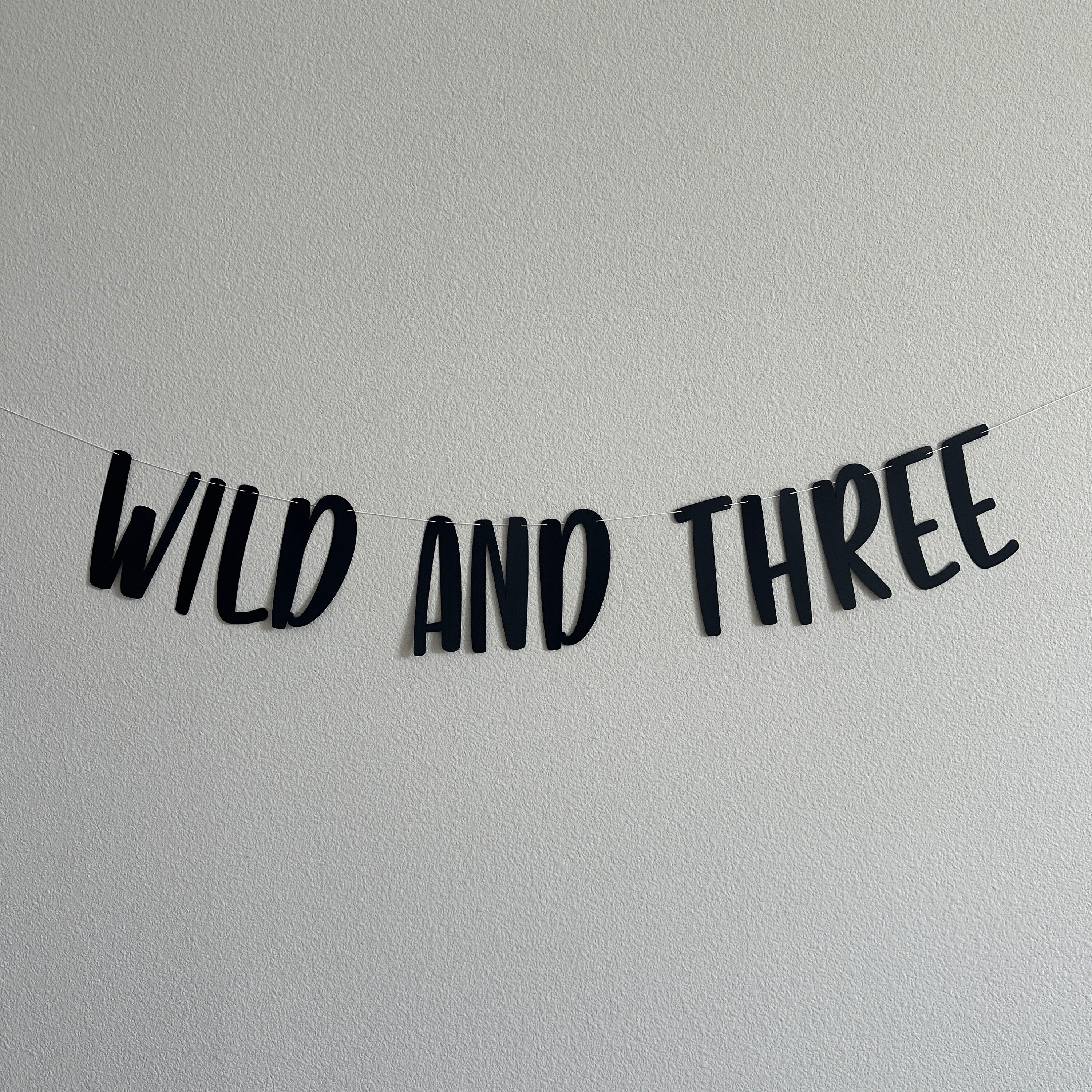 Wild and Three, Wild and Three Banner, Wild and Three Sign, Wild and Three Decor, Wild and Three Theme