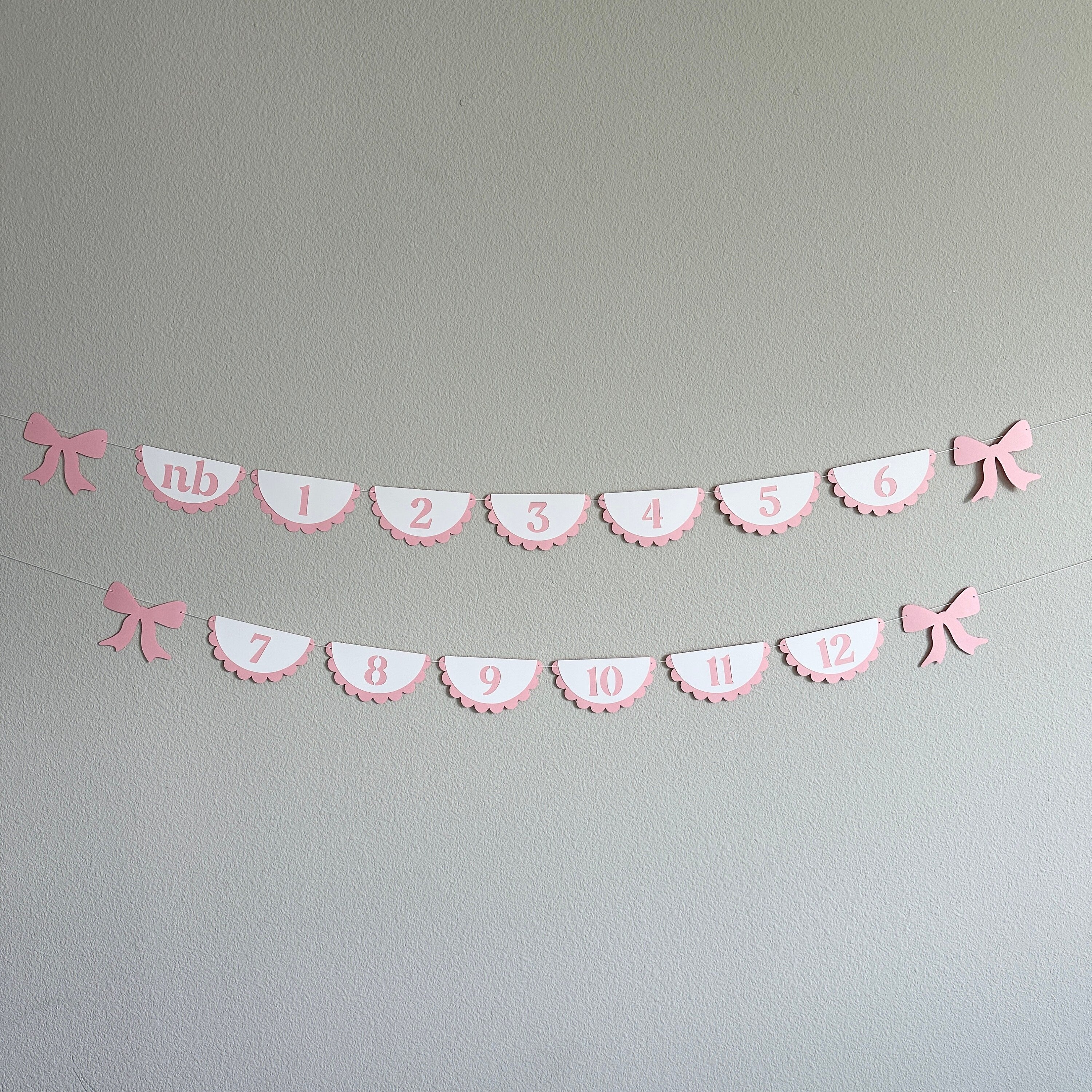 Milestones Banner, Coquette Themed Milestone, Monthly Milestones, Pink Bow Milestones, First Birthday Decorations, 1st Birthday Party