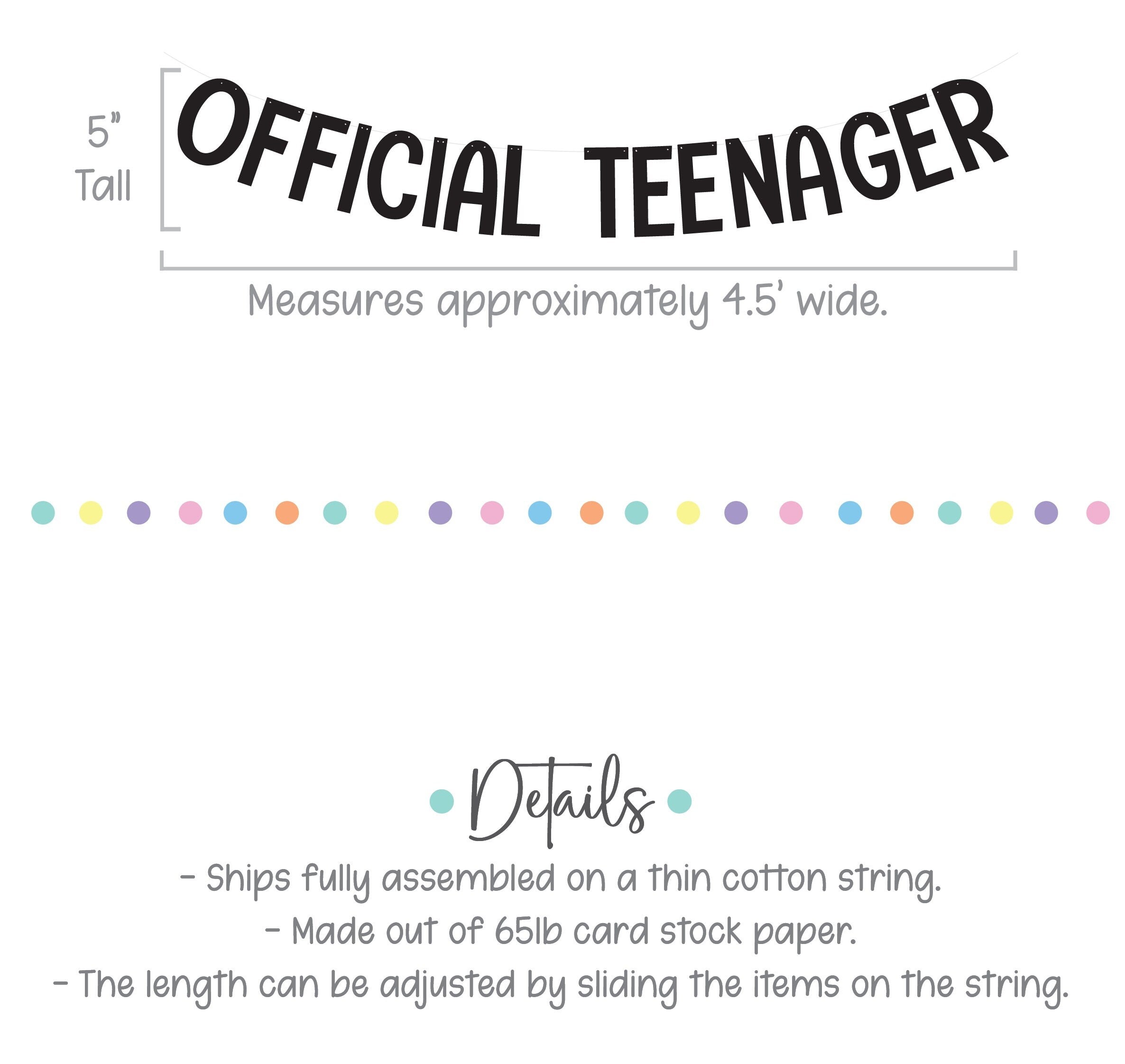 Official Teenager, Official Teenager Decorations, Official Teenager Banner, 13th Birthday Decorations, 13th Birthday Party Ideas