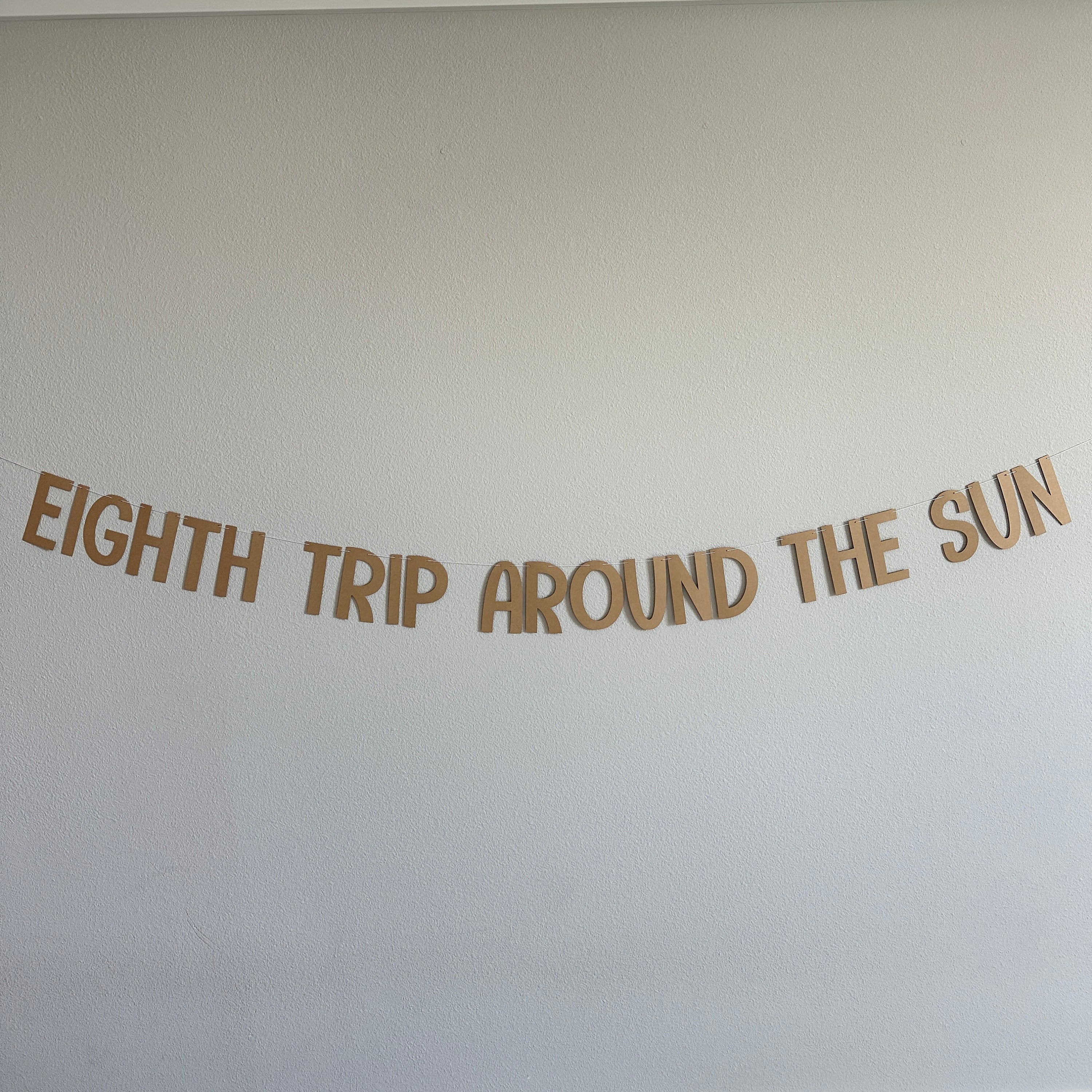 Eighth Trip Around The Sun, 8th Birthday, 8th Birthday Party Decorations, 8th Birthday Theme Ideas, Birthday Ideas