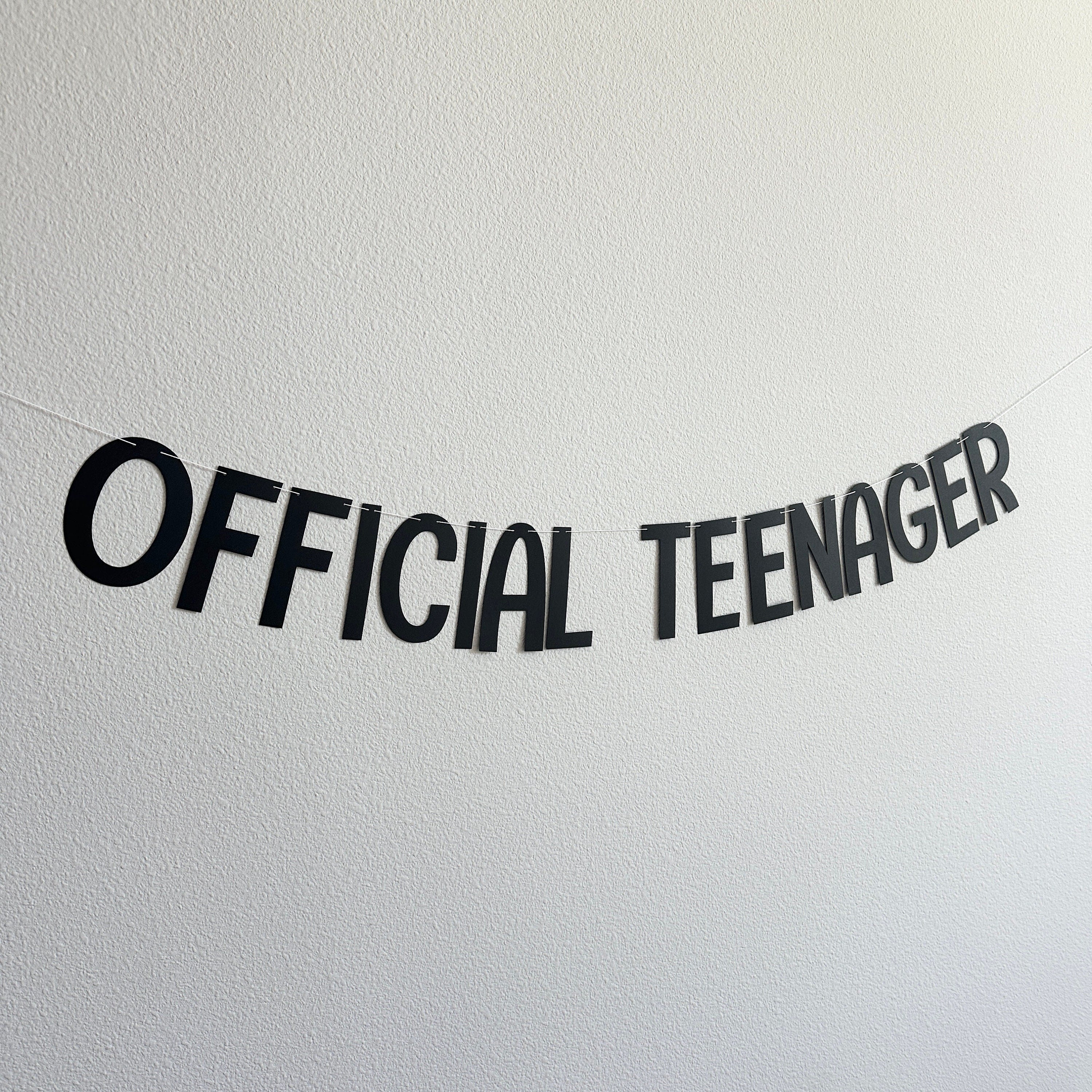 Official Teenager, Official Teenager Decorations, Official Teenager Banner, 13th Birthday Decorations, 13th Birthday Party Ideas