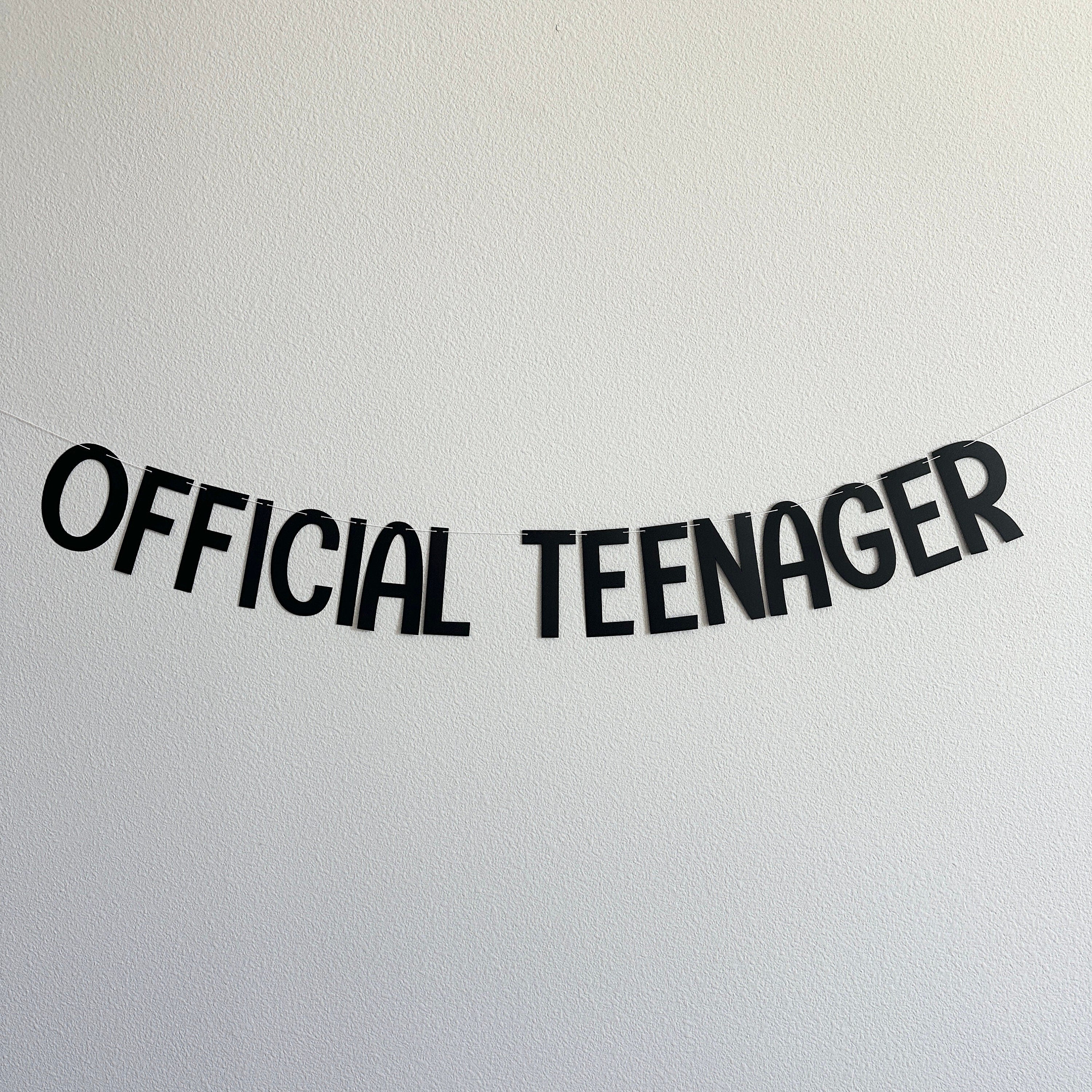 Official Teenager, Official Teenager Decorations, Official Teenager Banner, 13th Birthday Decorations, 13th Birthday Party Ideas