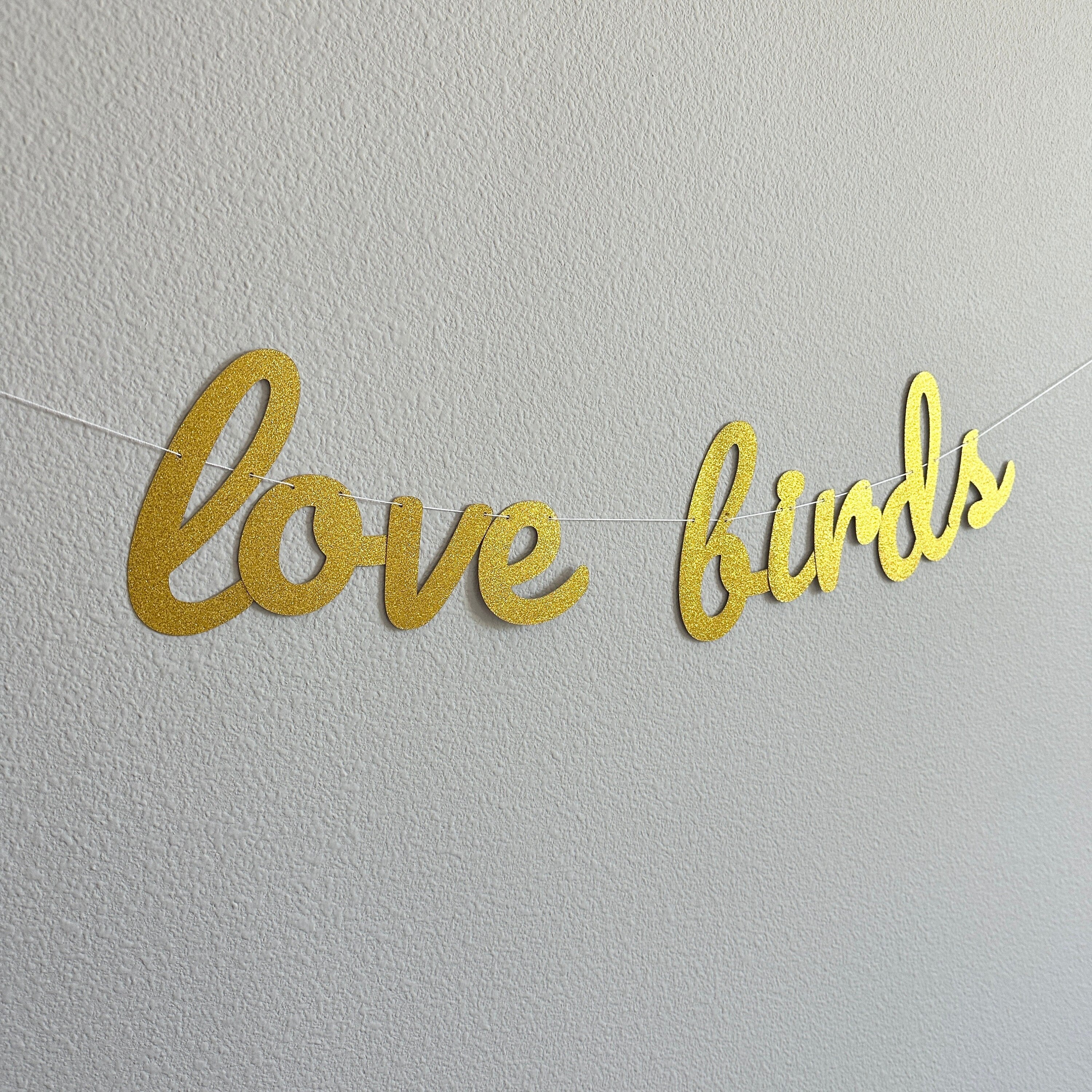 Love Birds, Love Birds Banner, Love Birds Decorations, Gold Glitter, Wedding Backdrop, Wedding Decorations