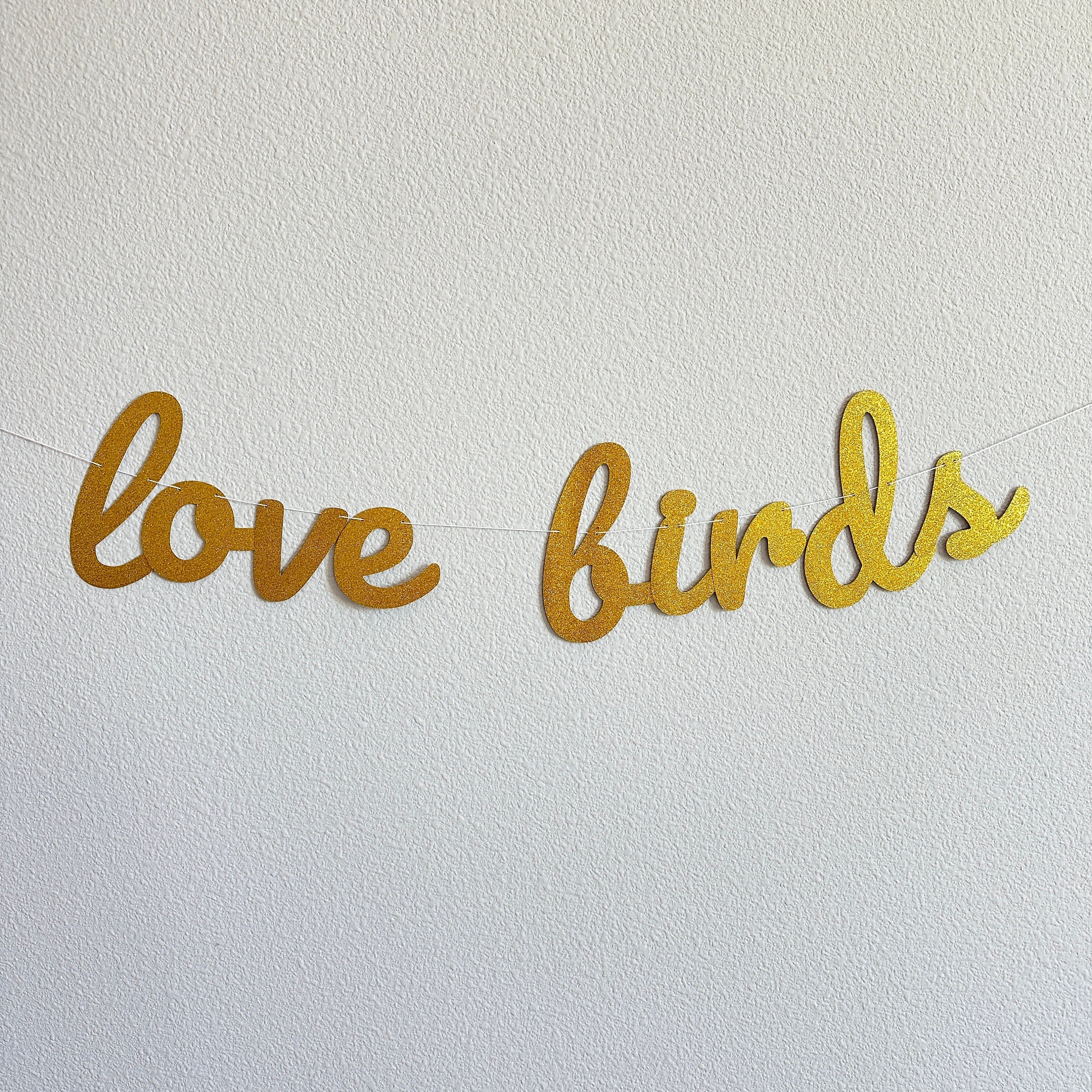 Love Birds, Love Birds Banner, Love Birds Decorations, Gold Glitter, Wedding Backdrop, Wedding Decorations