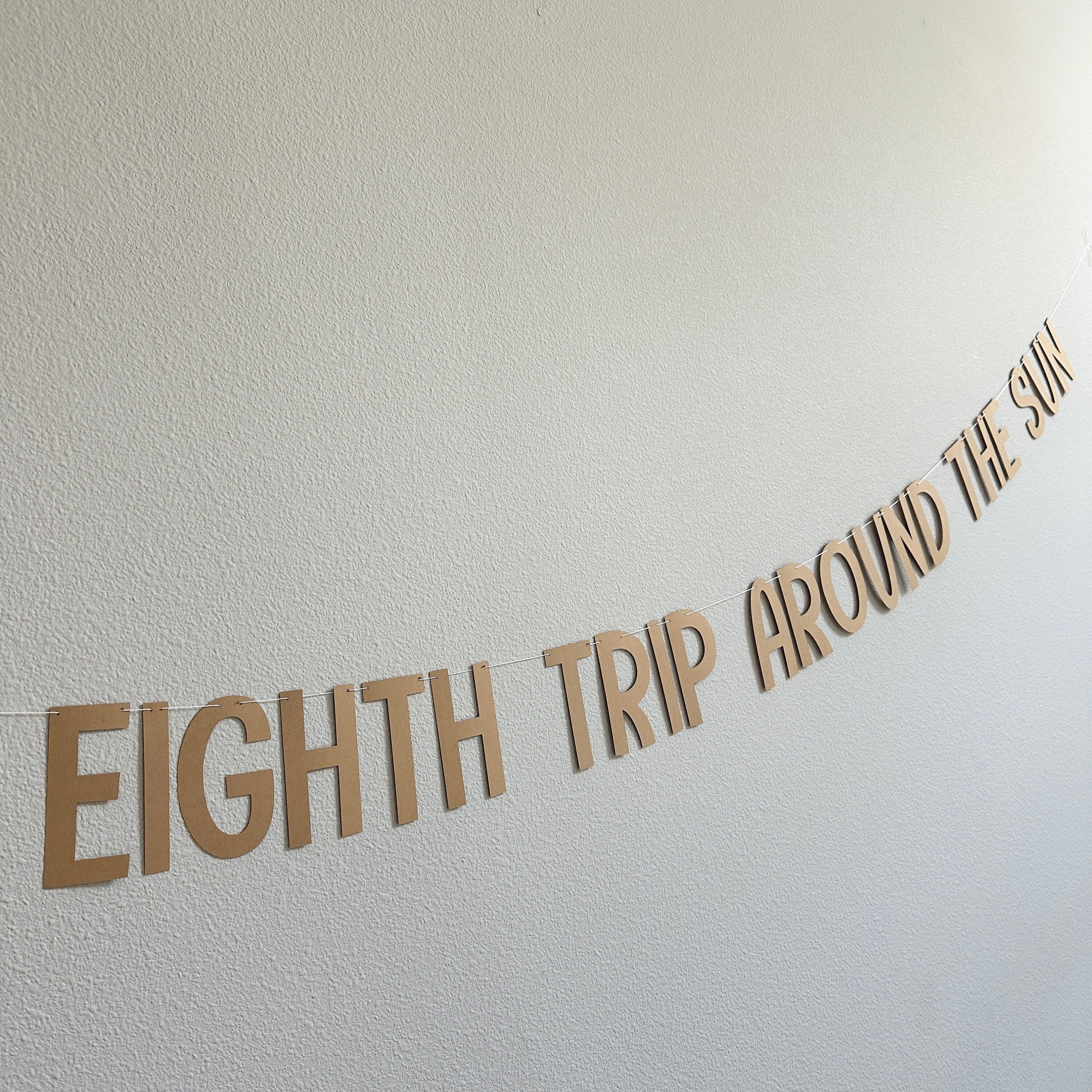 Eighth Trip Around The Sun, 8th Birthday, 8th Birthday Party Decorations, 8th Birthday Theme Ideas, Birthday Ideas