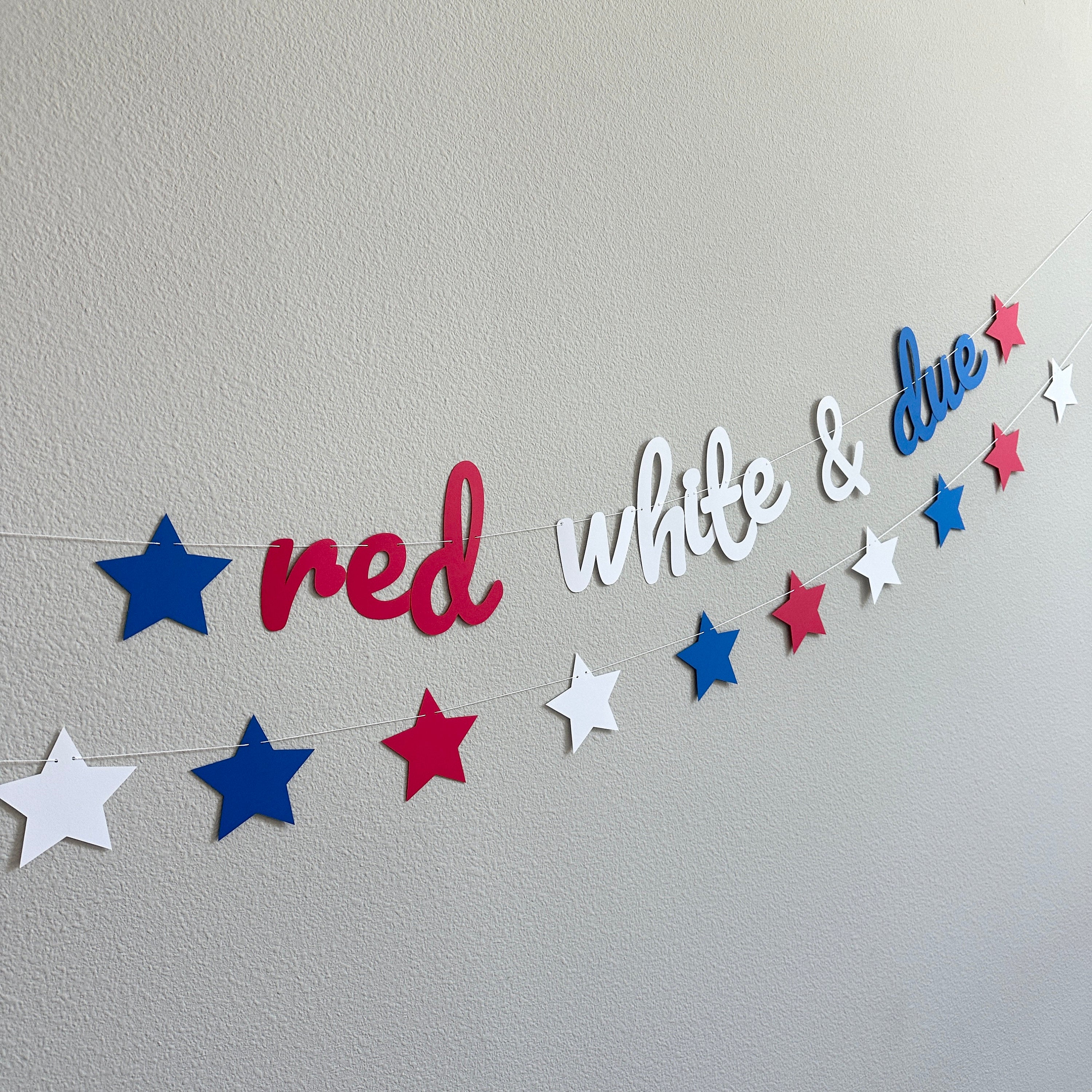 Red White & Due, Red White and Due Banner, Pregnancy Announcement, 4th of July Baby Shower, Red White and Blue Baby Shower, Summertime Baby