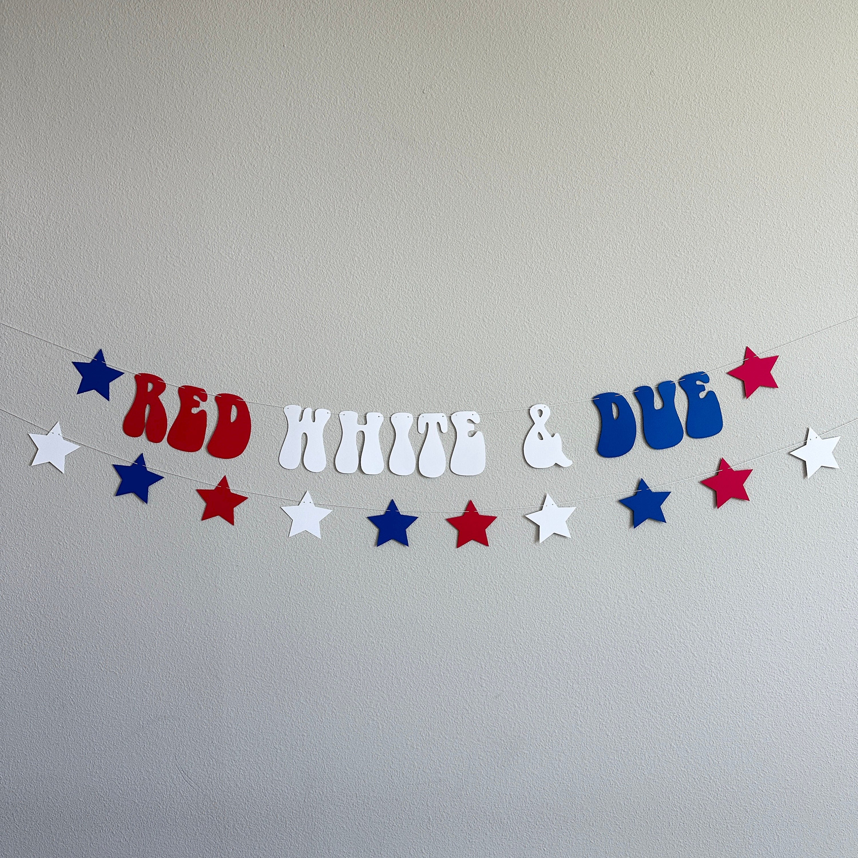 Red White & Due, Red White and Due Banner, Pregnancy Announcement, 4th of July Baby Shower, Red White and Blue Baby Shower, Summertime Baby