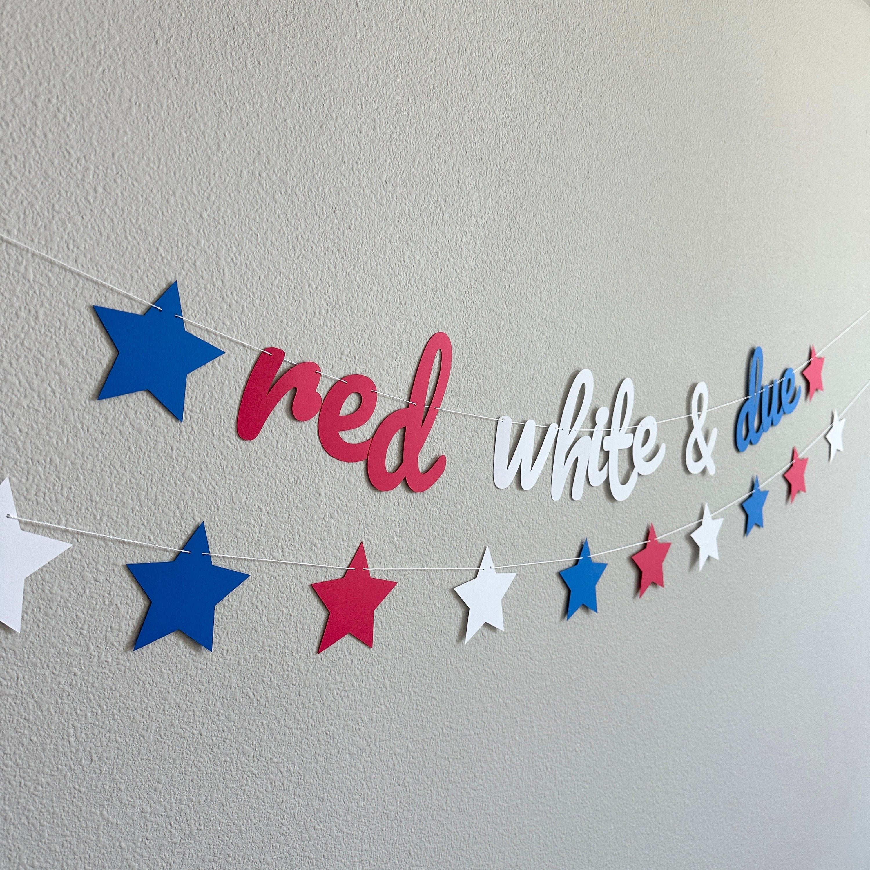 Red White & Due, Red White and Due Banner, Pregnancy Announcement, 4th of July Baby Shower, Red White and Blue Baby Shower, Summertime Baby