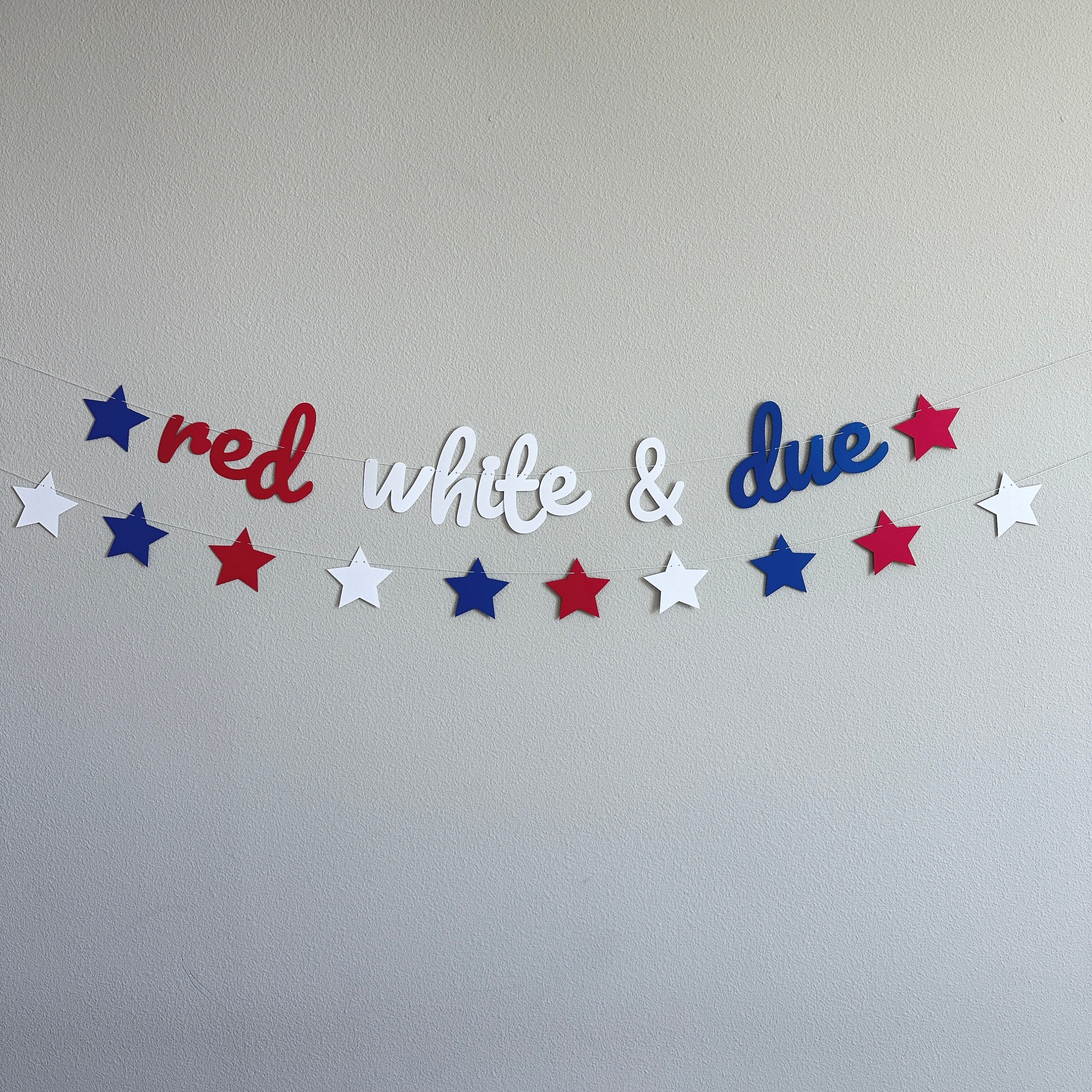 Red White & Due, Red White and Due Banner, Pregnancy Announcement, 4th of July Baby Shower, Red White and Blue Baby Shower, Summertime Baby