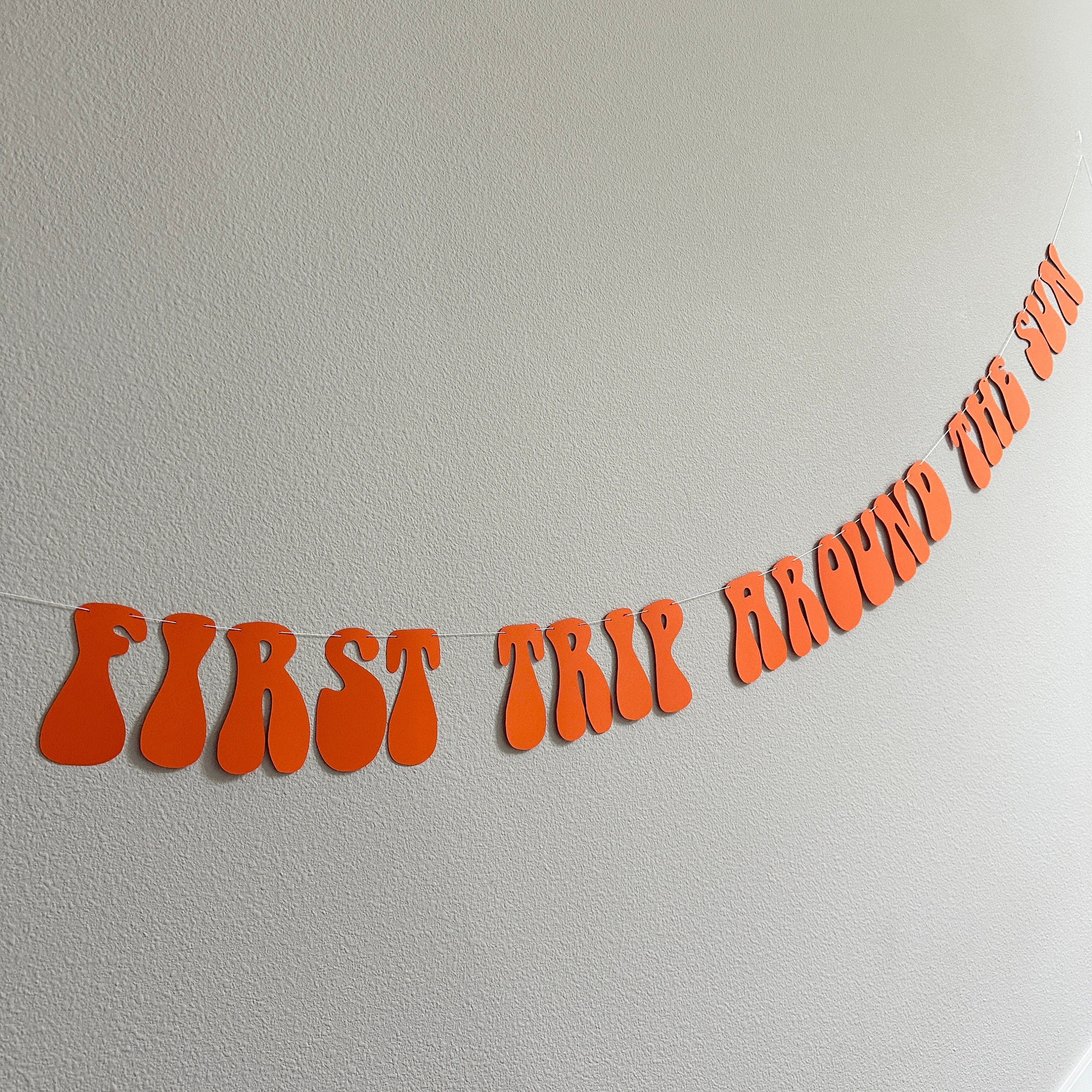 First Trip Around The Sun, 1sy Birthday Party Decoration Ideas, First Trip Around The Sun Banner, First Birthday Party Banner