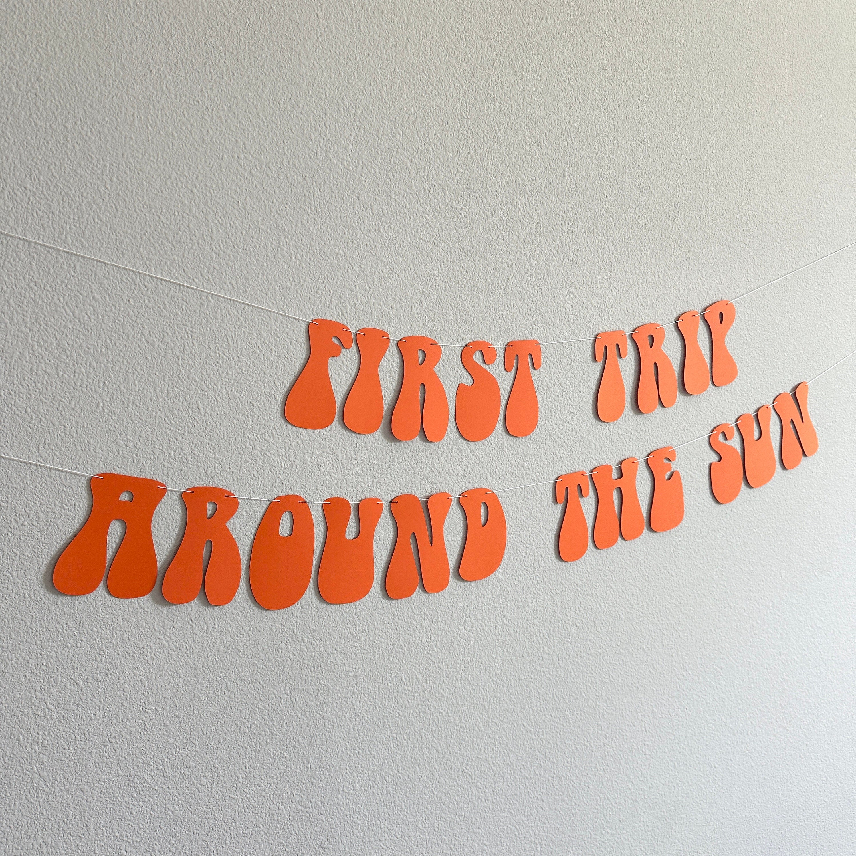 First Trip Around The Sun, 1sy Birthday Party Decoration Ideas, First Trip Around The Sun Banner, First Birthday Party Banner