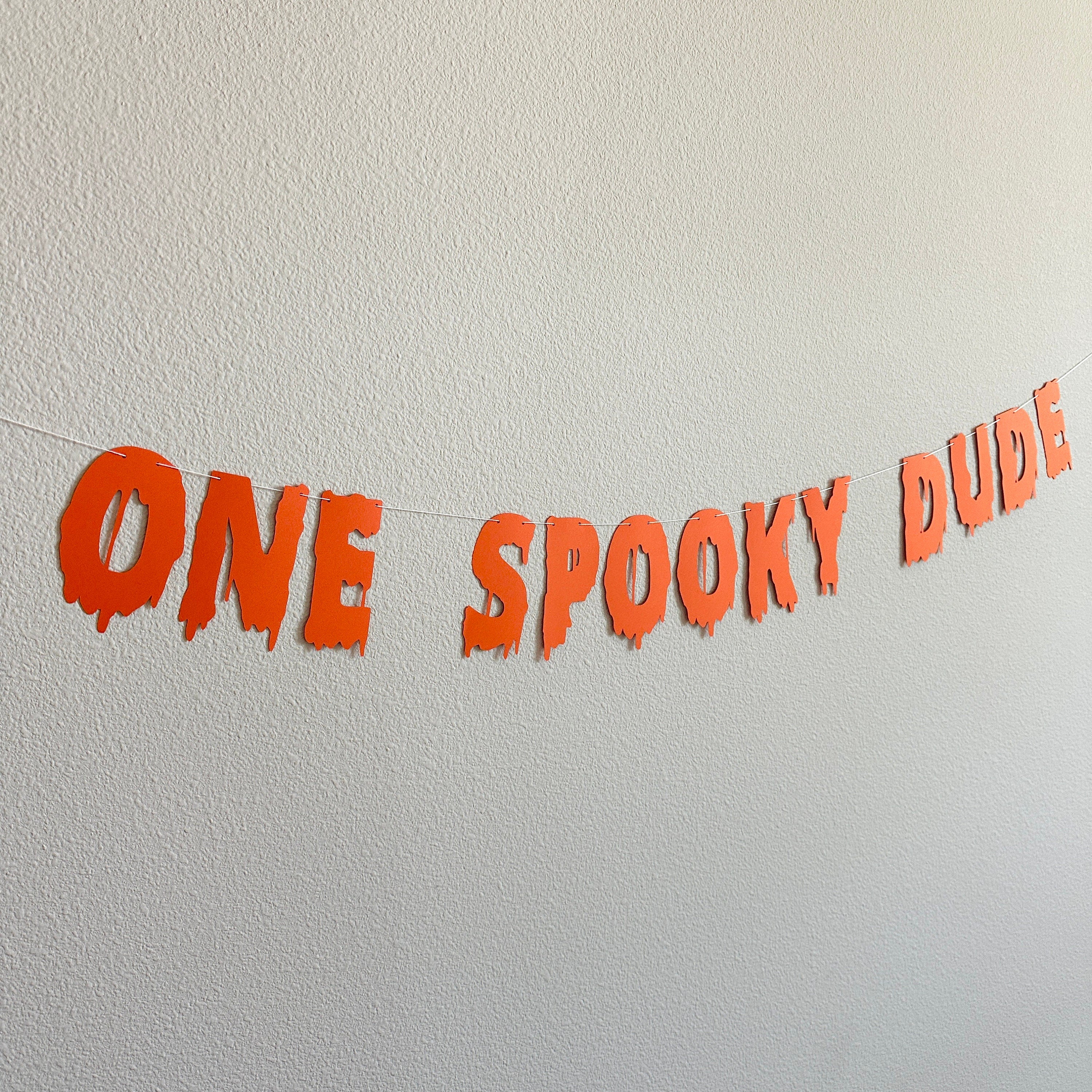 One Spooky Dude, Halloween Themed 1st Birthday Banner, October 1st Birthday Decorations, Spooky One, Boys 1st Birthday Theme Ideas