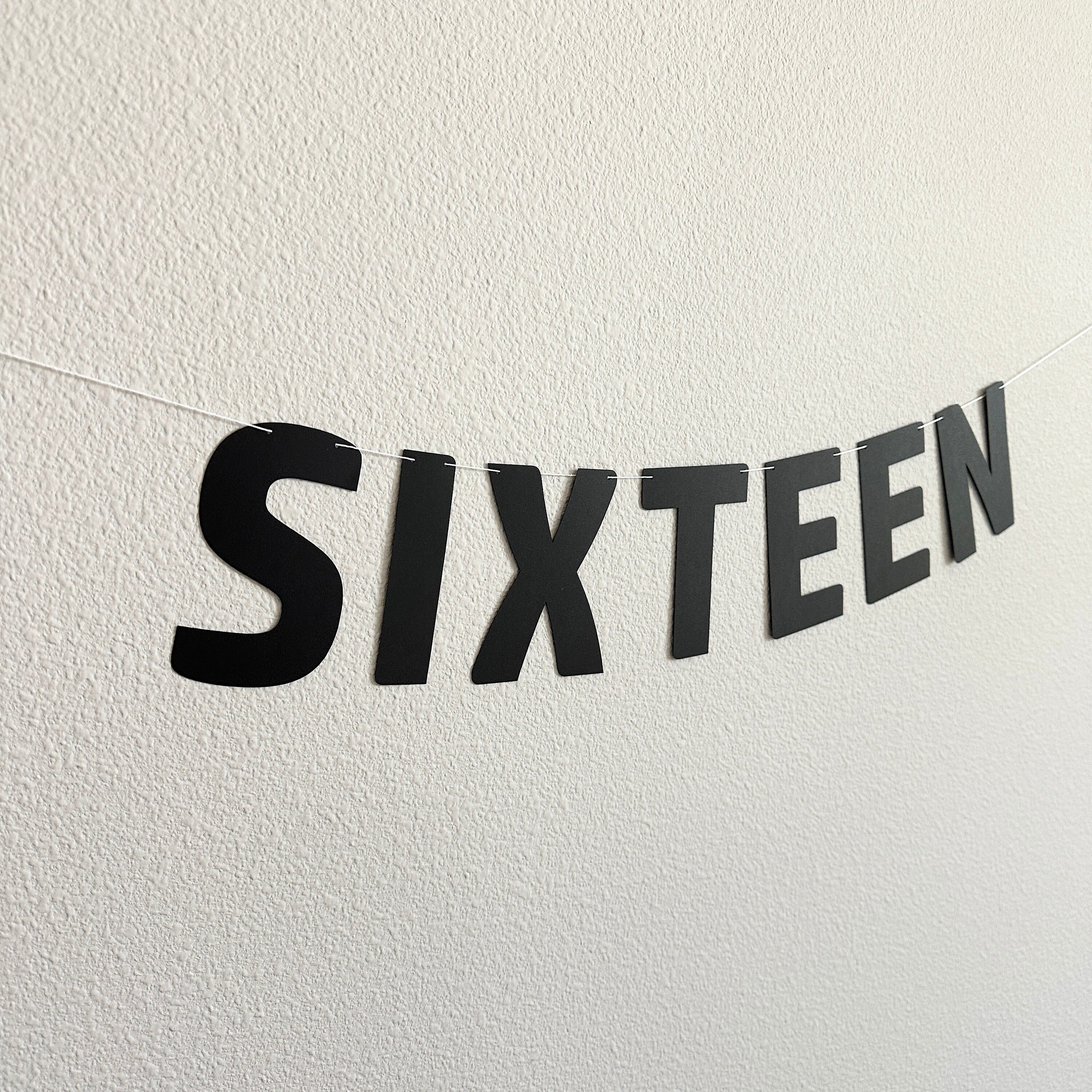Sixteen, Sixteen Banner, 16th Birthday Party Decorations, Boy&#39;s 16th Birthday, 16th Birthday, Sixteen Decorations