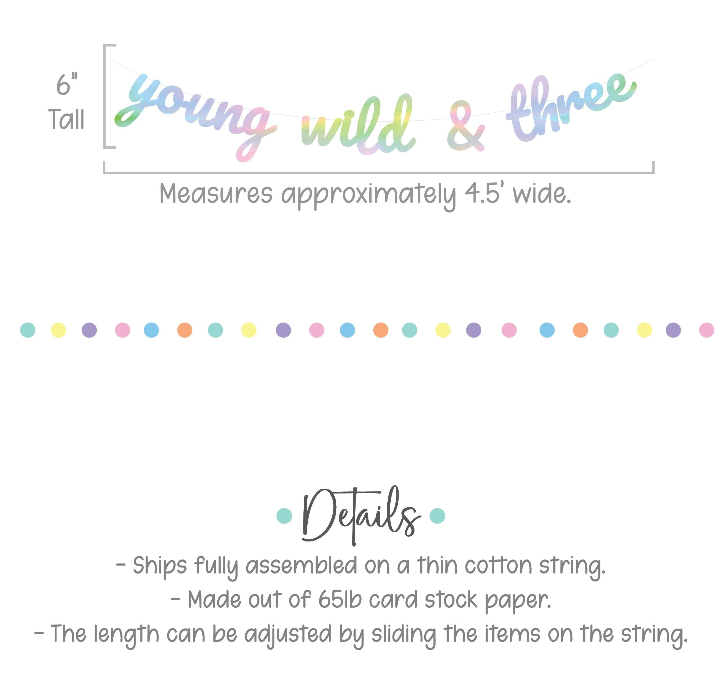 Young Wild & Three, Young Wild and Three Banner, 3rd Birthday Party, 3rd Birthday Banner, 3rd Birthday Party Decor, Holographic Banne
