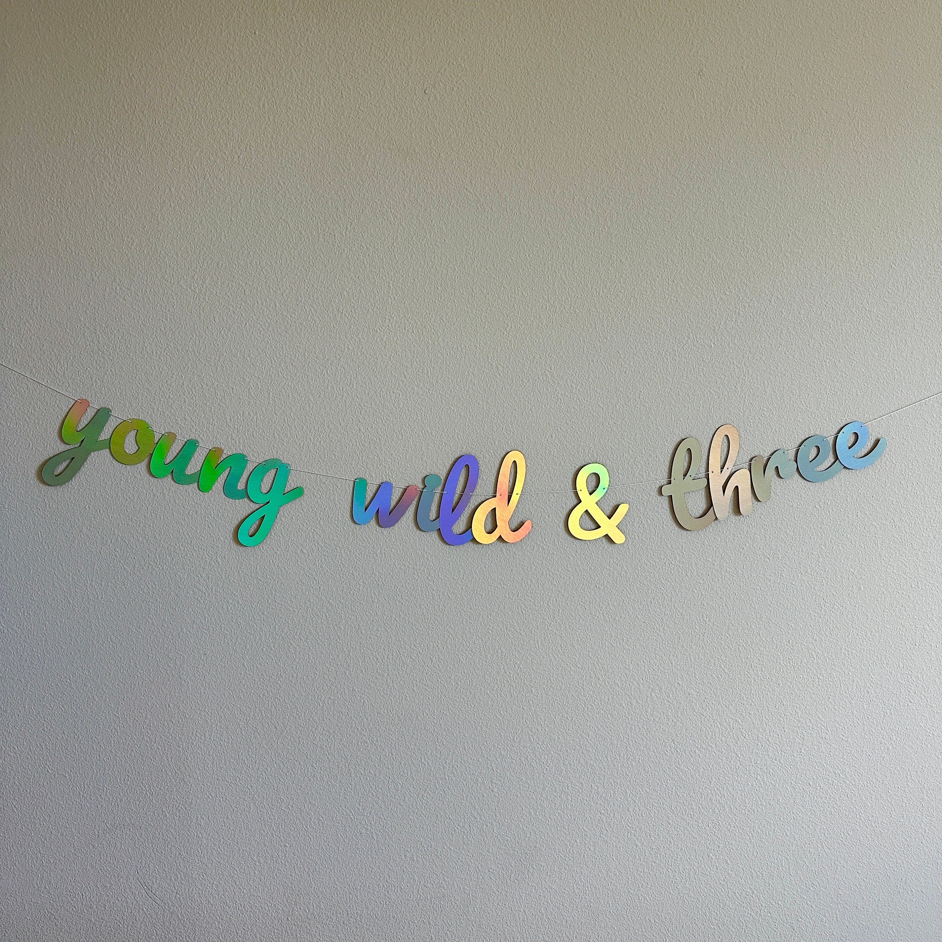 Young Wild & Three, Young Wild and Three Banner, 3rd Birthday Party, 3rd Birthday Banner, 3rd Birthday Party Decor, Holographic Banne