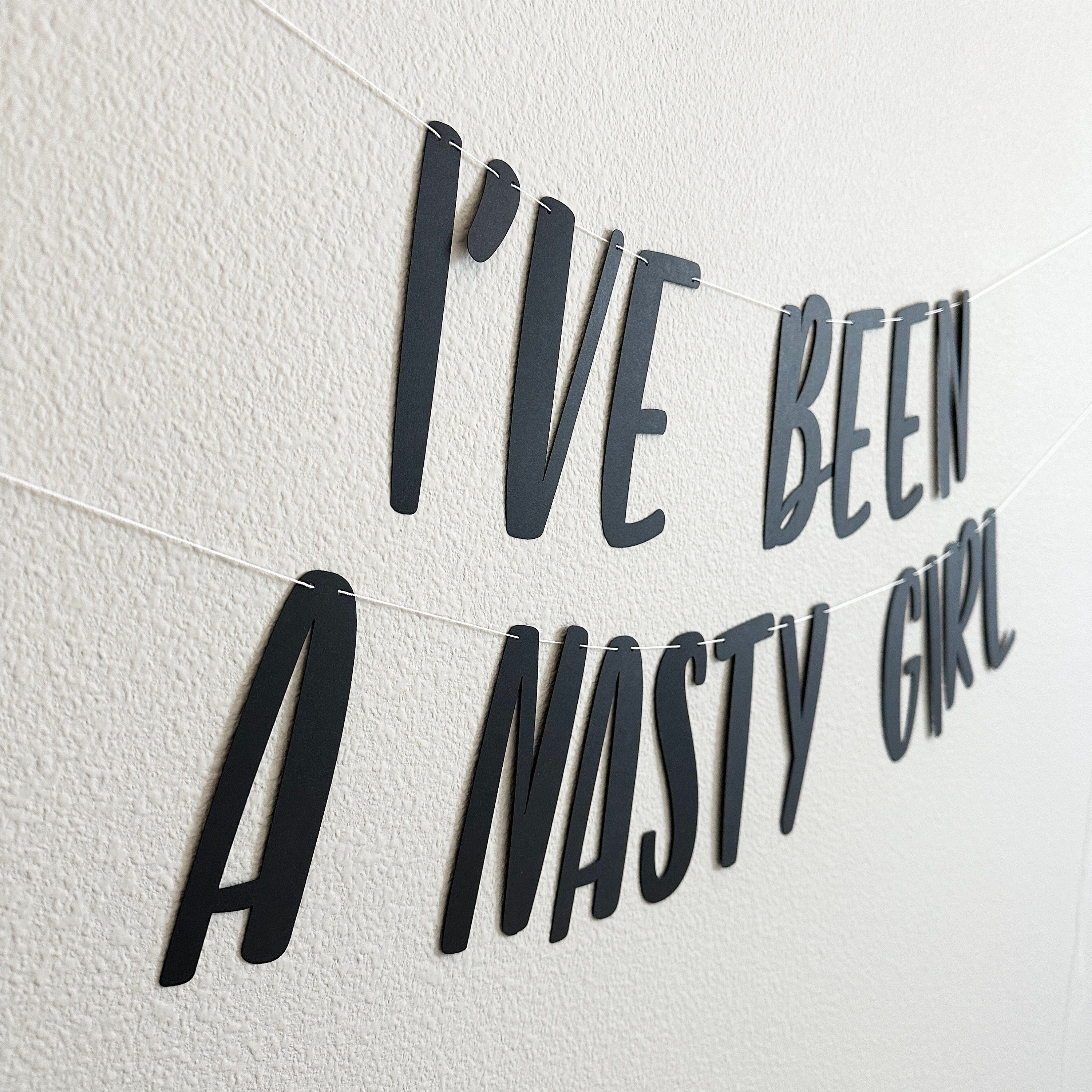 I&#39;ve Been A Nasty Girl, I&#39;ve Been A Nasty Girl Banner, Girls Night Decorations, Bachelorette Party Decorations, Girl&#39;s Weekend Getaway