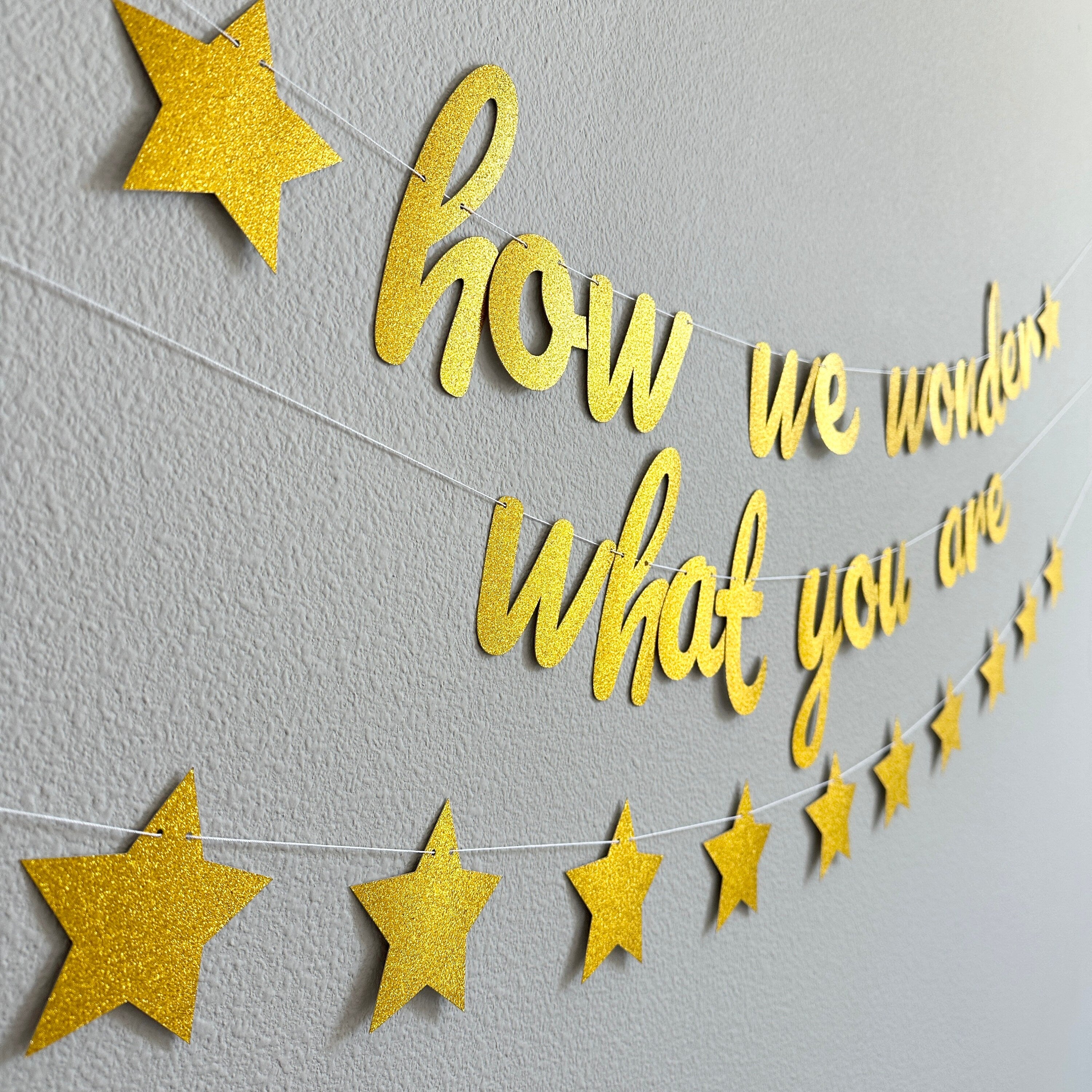 How We Wonder What You Are, Gender Reveal Party Decorations, Baby Shower Banner, Twinkle Twinkle Baby Shower Theme