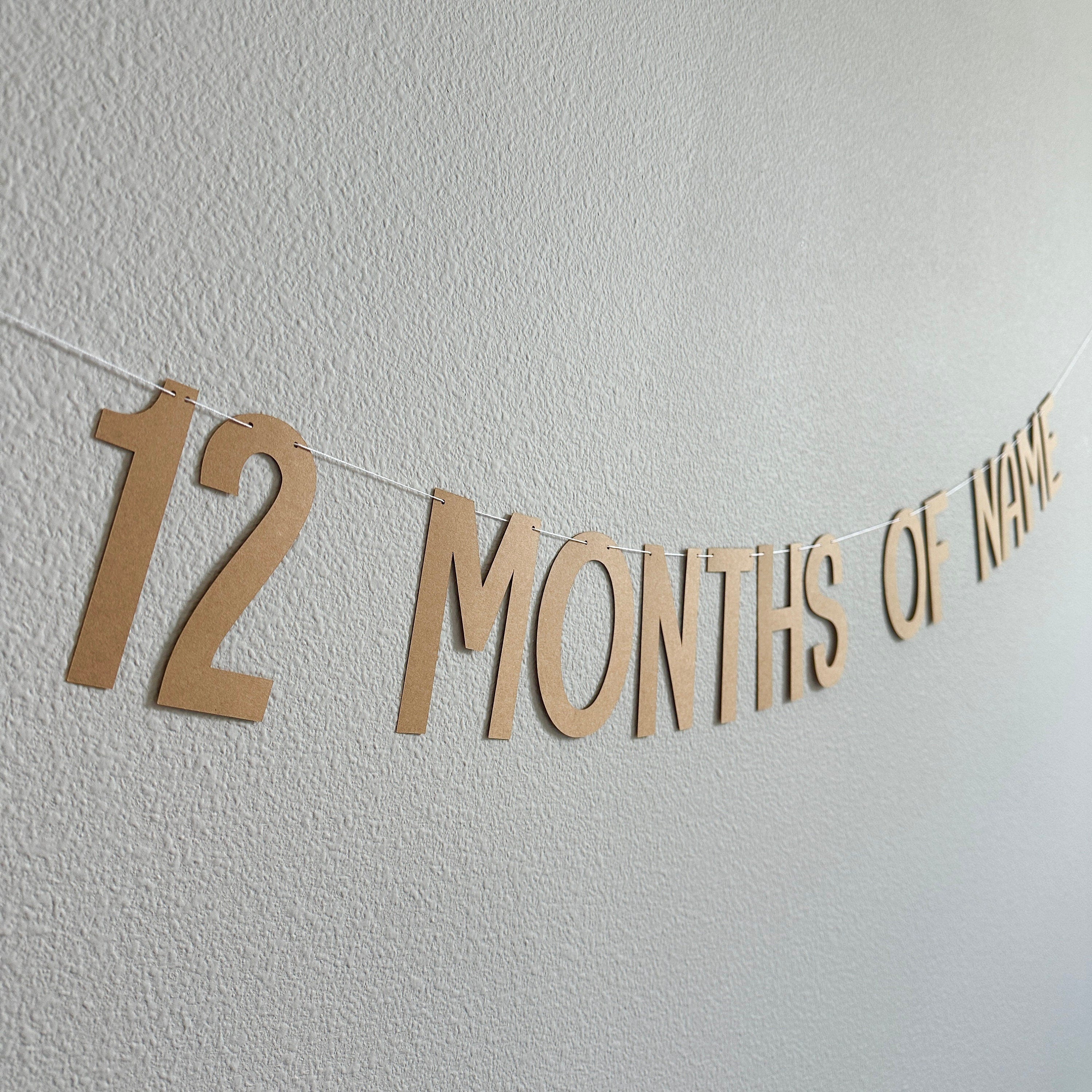 12 Months Of Name Banner, 1st birthday Decorations, Milestone Decorations, Milestone Banner