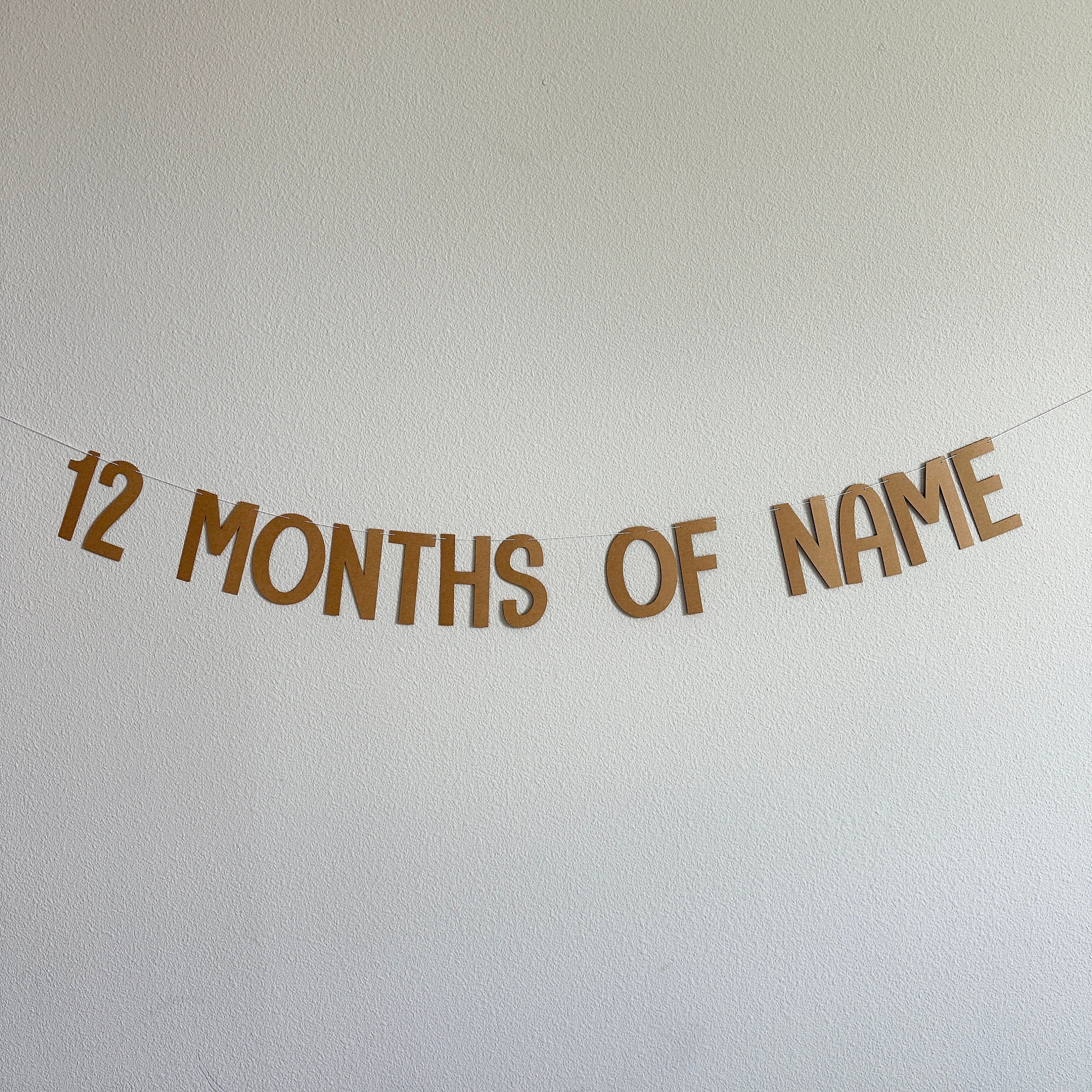 12 Months Of Name Banner, 1st birthday Decorations, Milestone Decorations, Milestone Banner