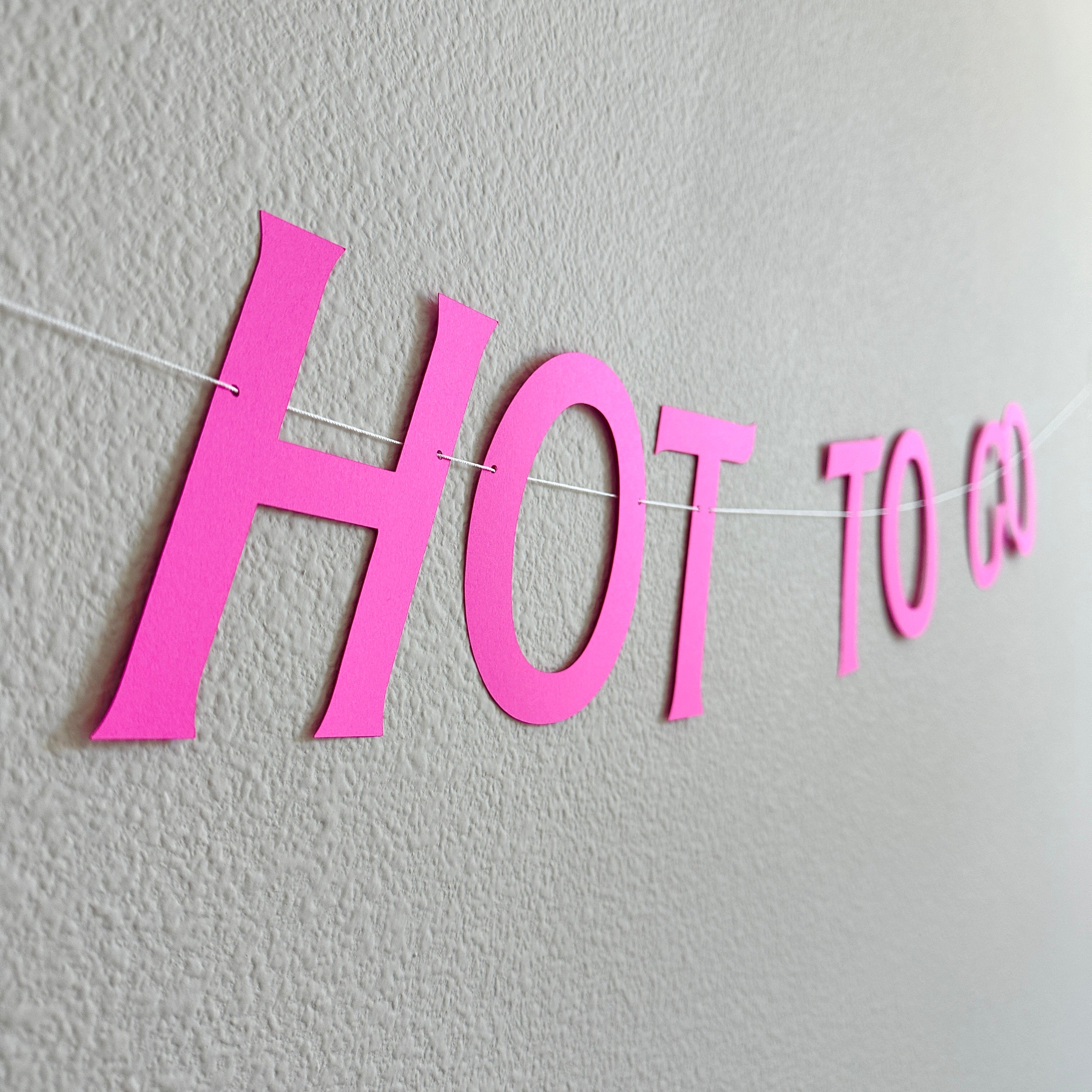Hot To Go, Hot To Go Banner, Hot To Go Decorations, Hot Pink Decorations, Fuchsia Party Decorations