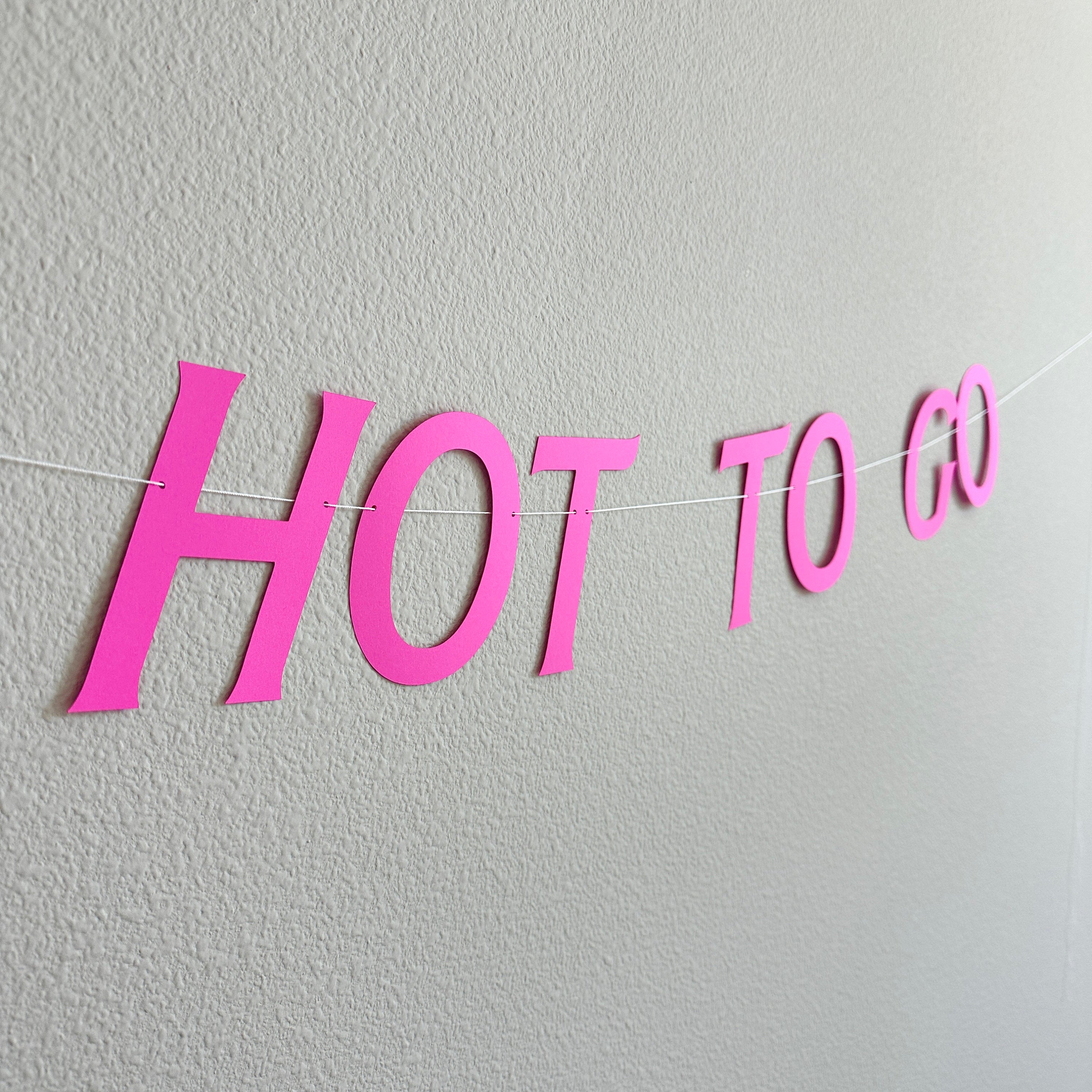 Hot To Go, Hot To Go Banner, Hot To Go Decorations, Hot Pink Decorations, Fuchsia Party Decorations