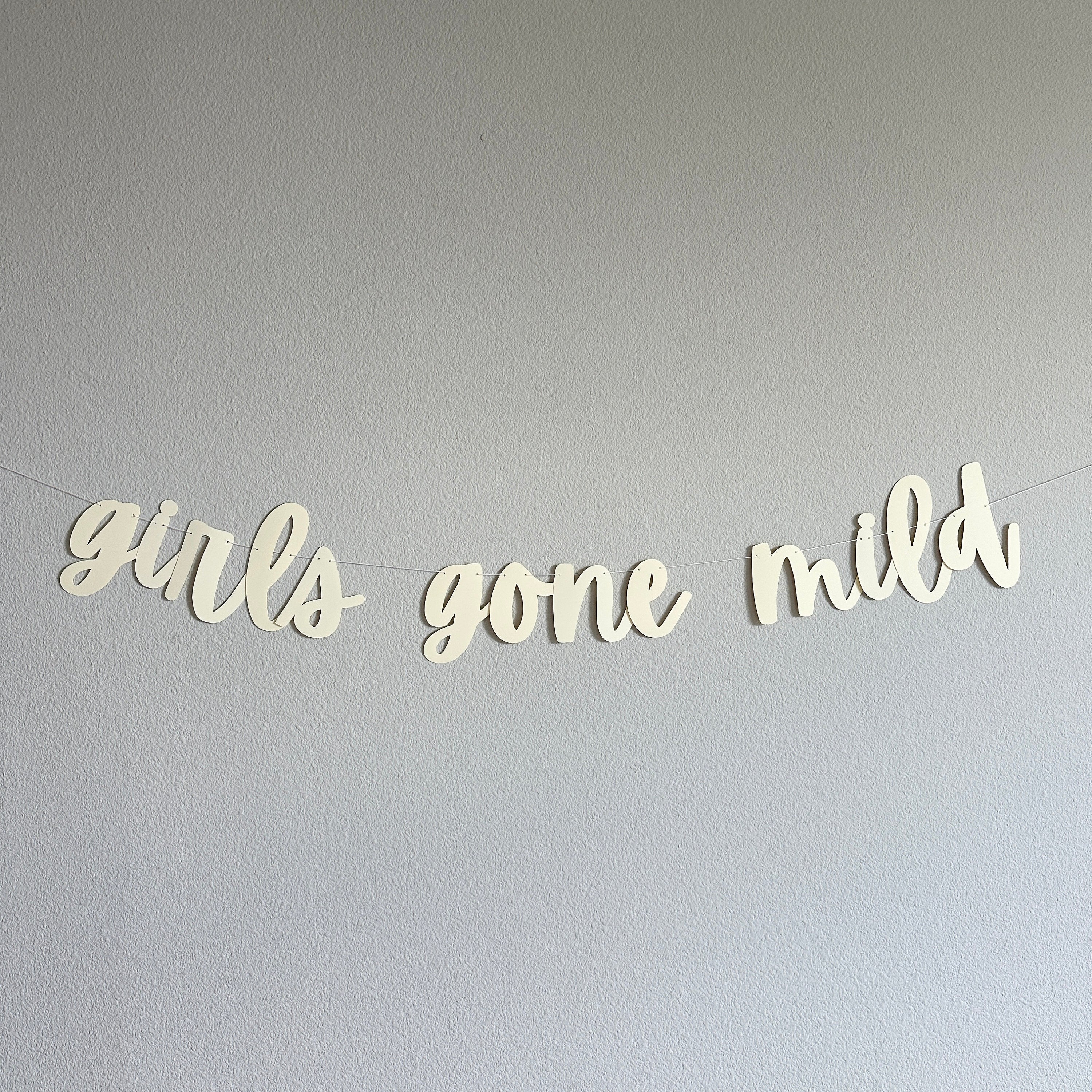 Girls Gone Mild, Girls Gone Mild Decorations, Girls Gone Mild Banner, Bachelorette Ideas, Girls Weekend Decorations, Girls Night
