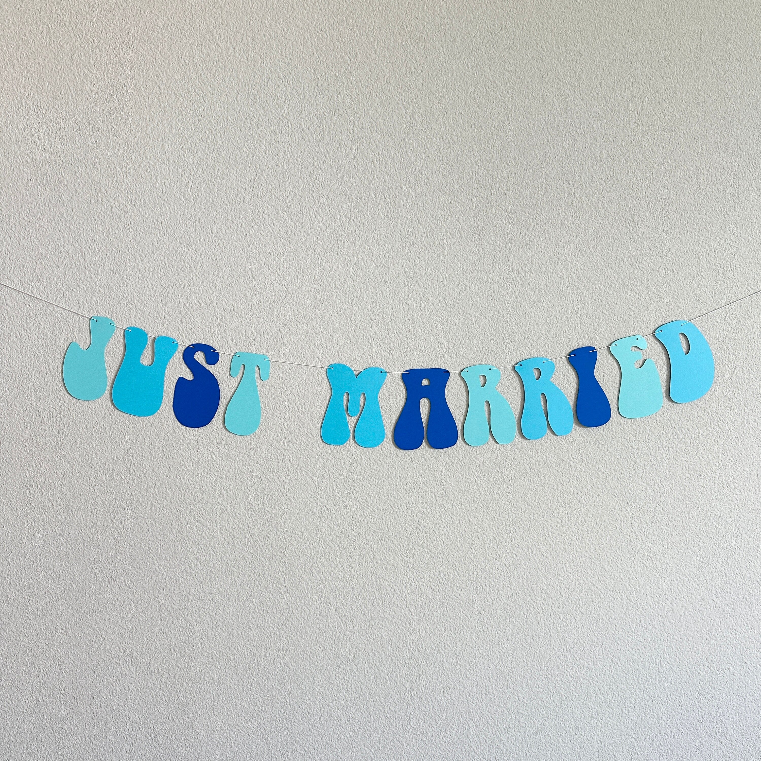 Just Married, Just Married Banner, Just Married Decorations, Just Married Sign, Something Blue Decorations, Retro Wedding Decoration Ideas