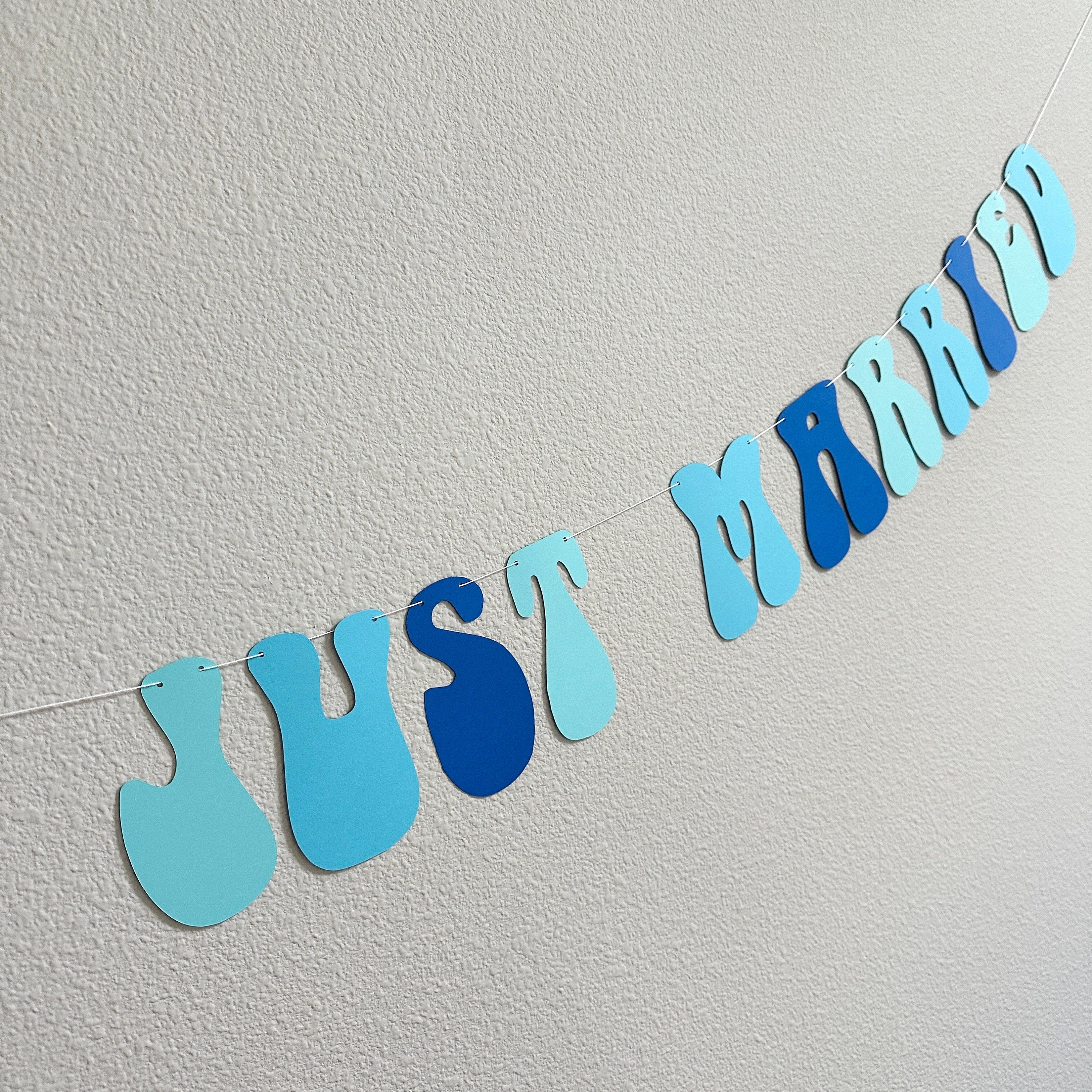 Just Married, Just Married Banner, Just Married Decorations, Just Married Sign, Something Blue Decorations, Retro Wedding Decoration Ideas