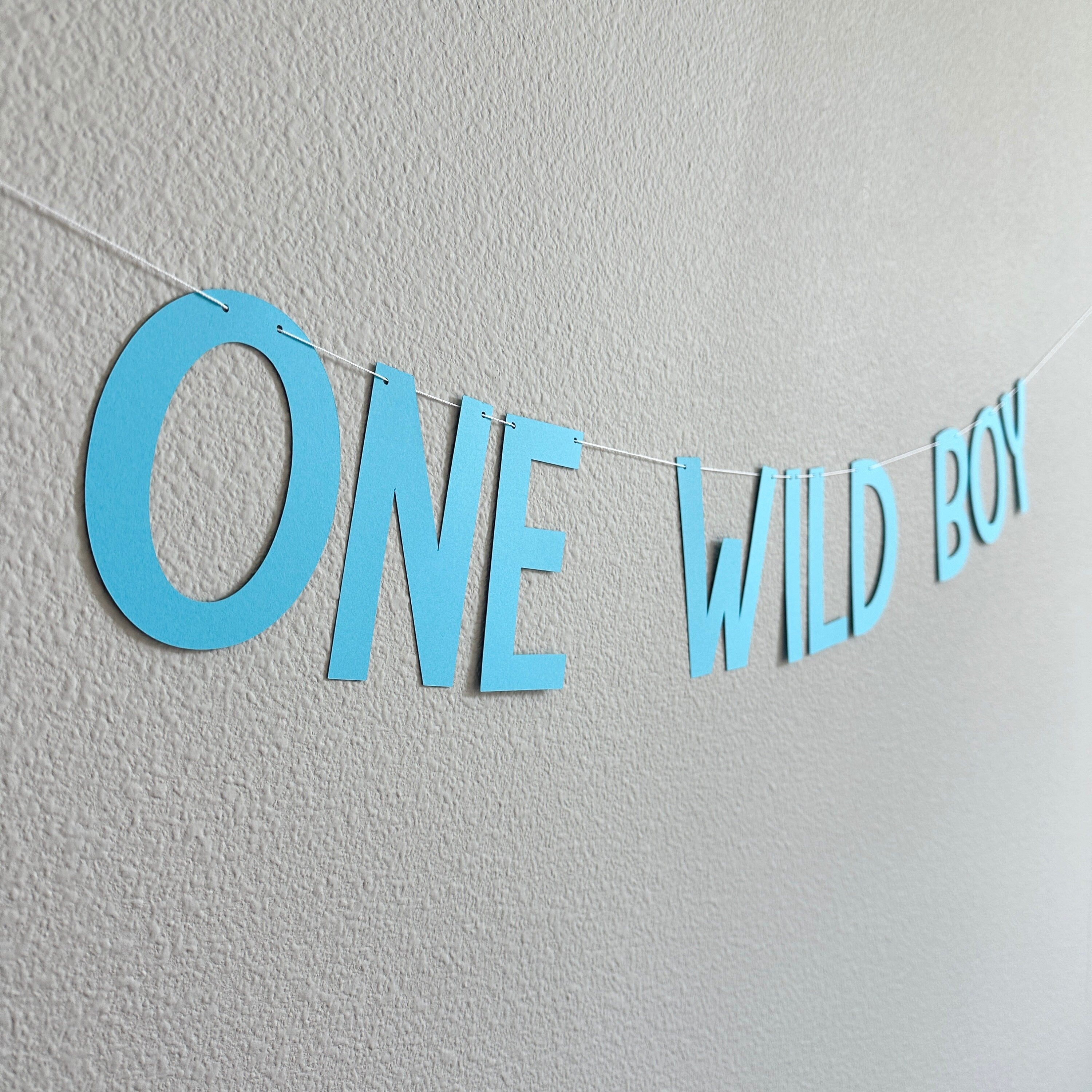 One Wild Boy, Boy 1st Birthday Banner, 1st Birthday Decorations, 1st Birthday Theme Ideas, One Wild Boy Banner, Boy 1st Birthday Party