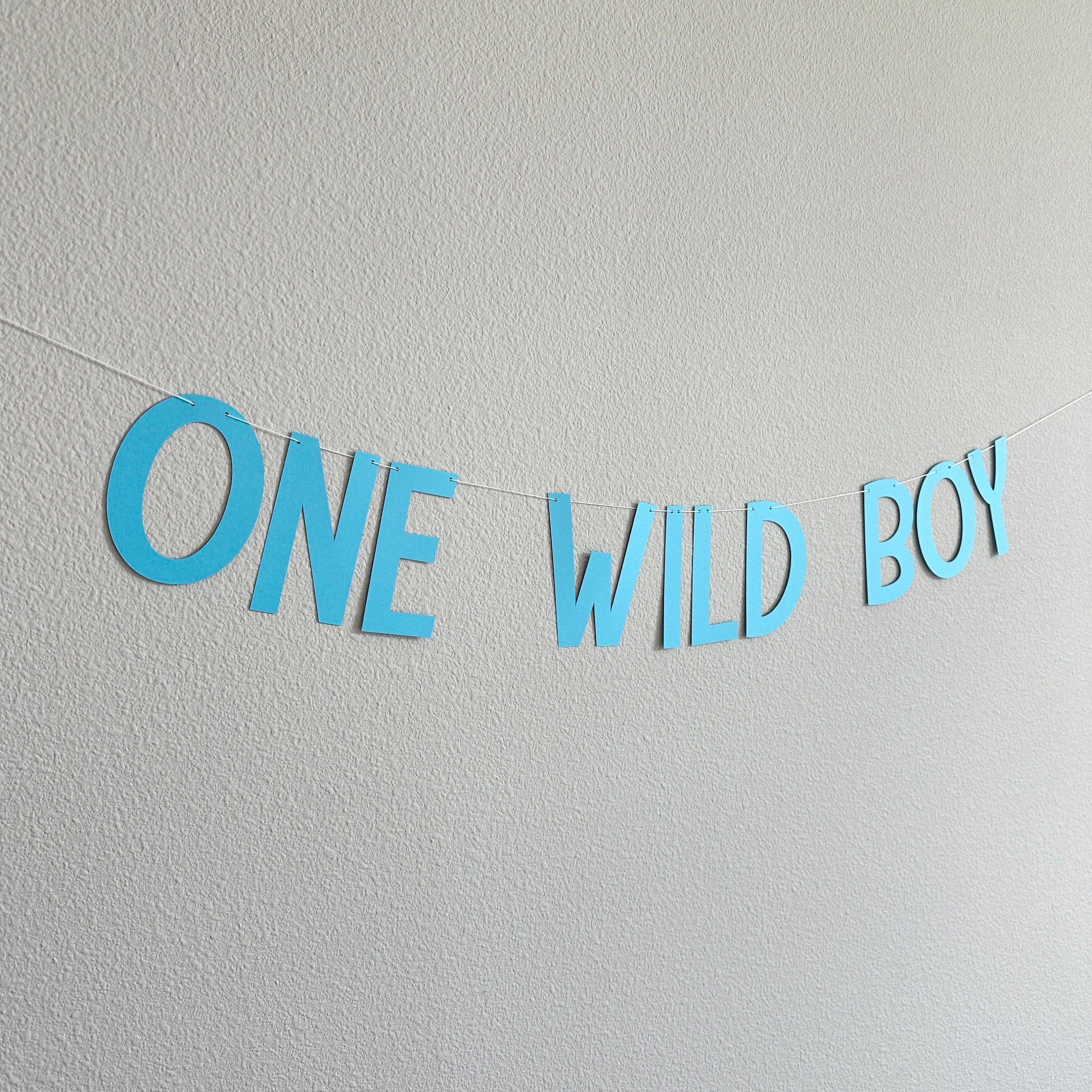 One Wild Boy, Boy 1st Birthday Banner, 1st Birthday Decorations, 1st Birthday Theme Ideas, One Wild Boy Banner, Boy 1st Birthday Party