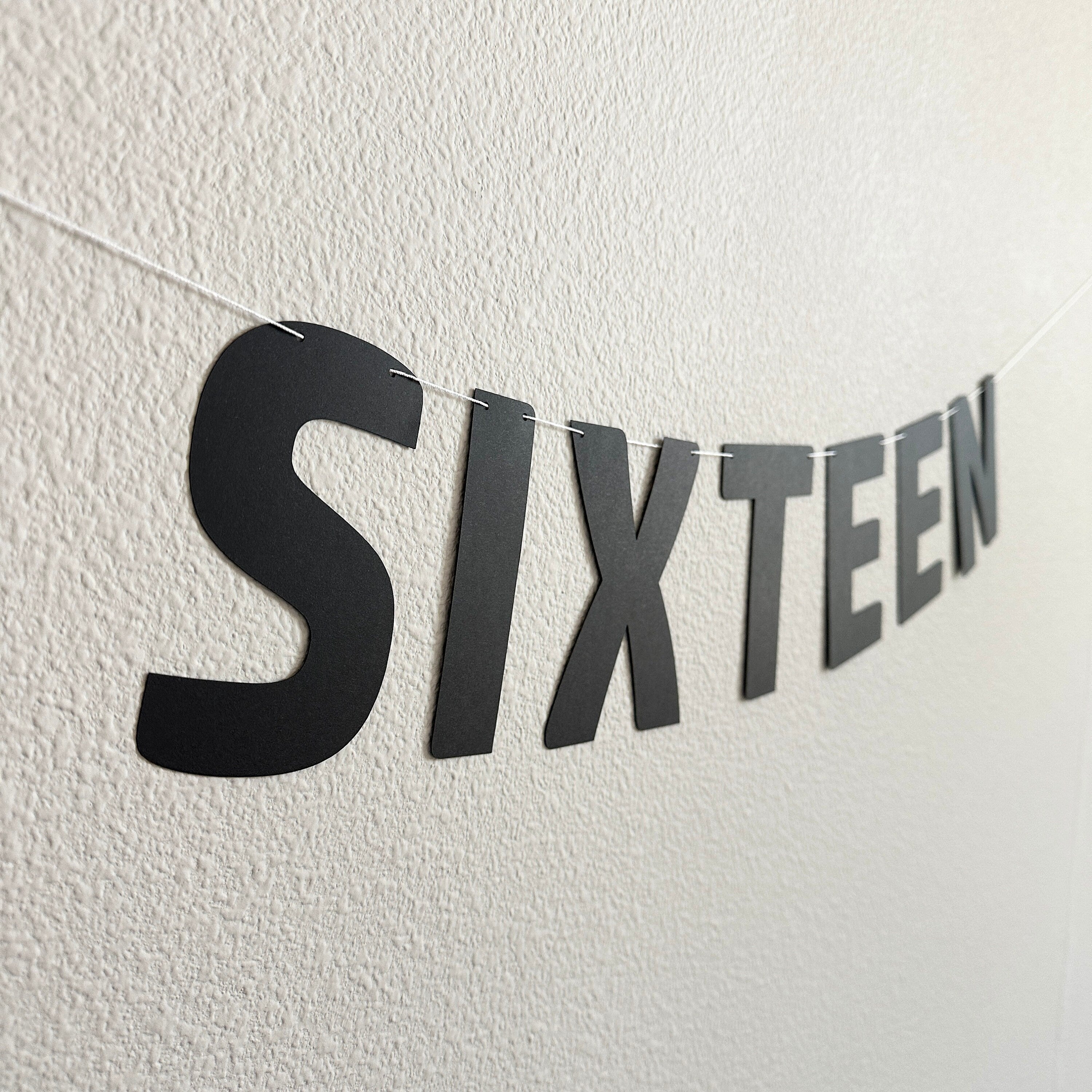 Sixteen, Sixteen Banner, 16th Birthday Party Decorations, Boy&#39;s 16th Birthday, 16th Birthday, Sixteen Decorations