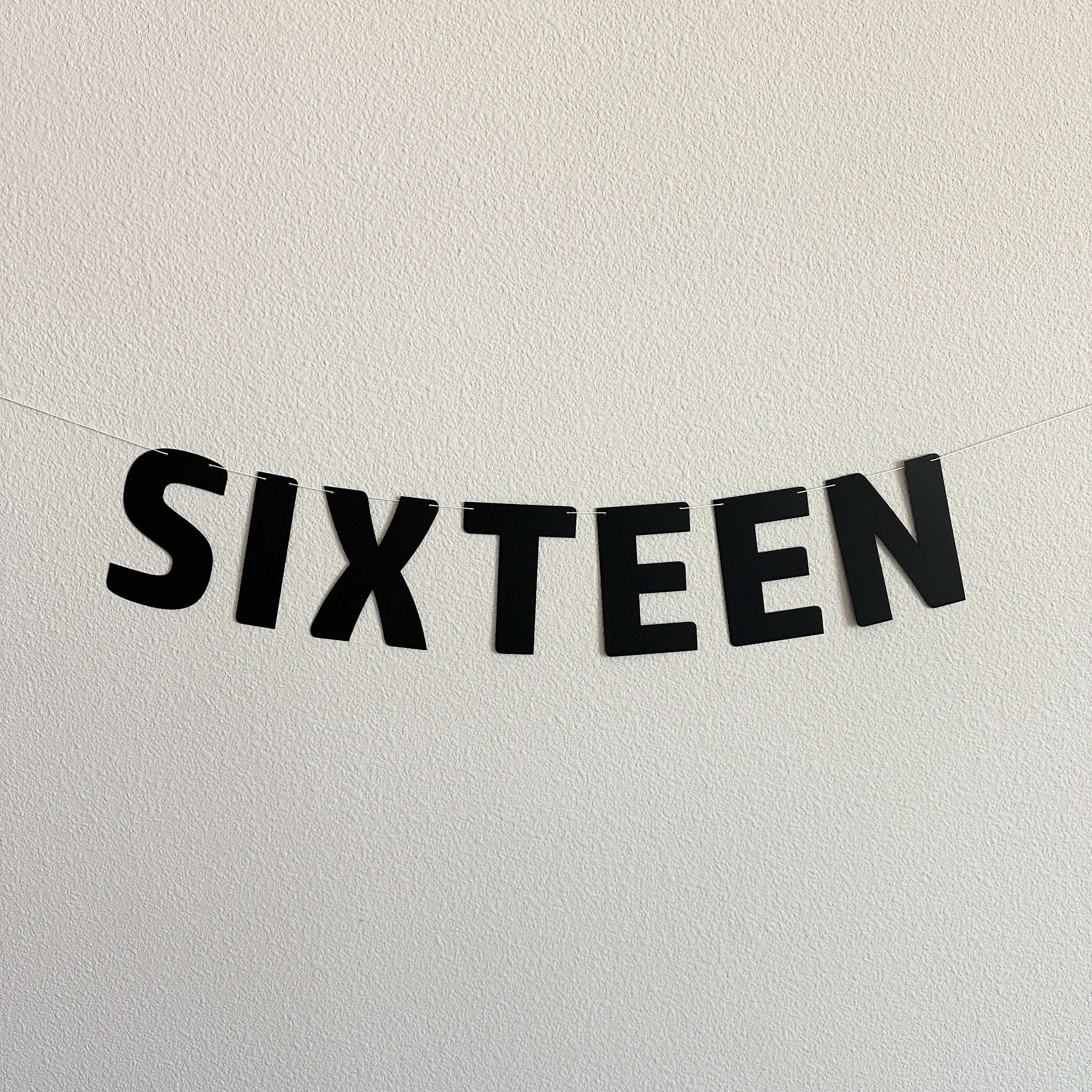 Sixteen, Sixteen Banner, 16th Birthday Party Decorations, Boy&#39;s 16th Birthday, 16th Birthday, Sixteen Decorations