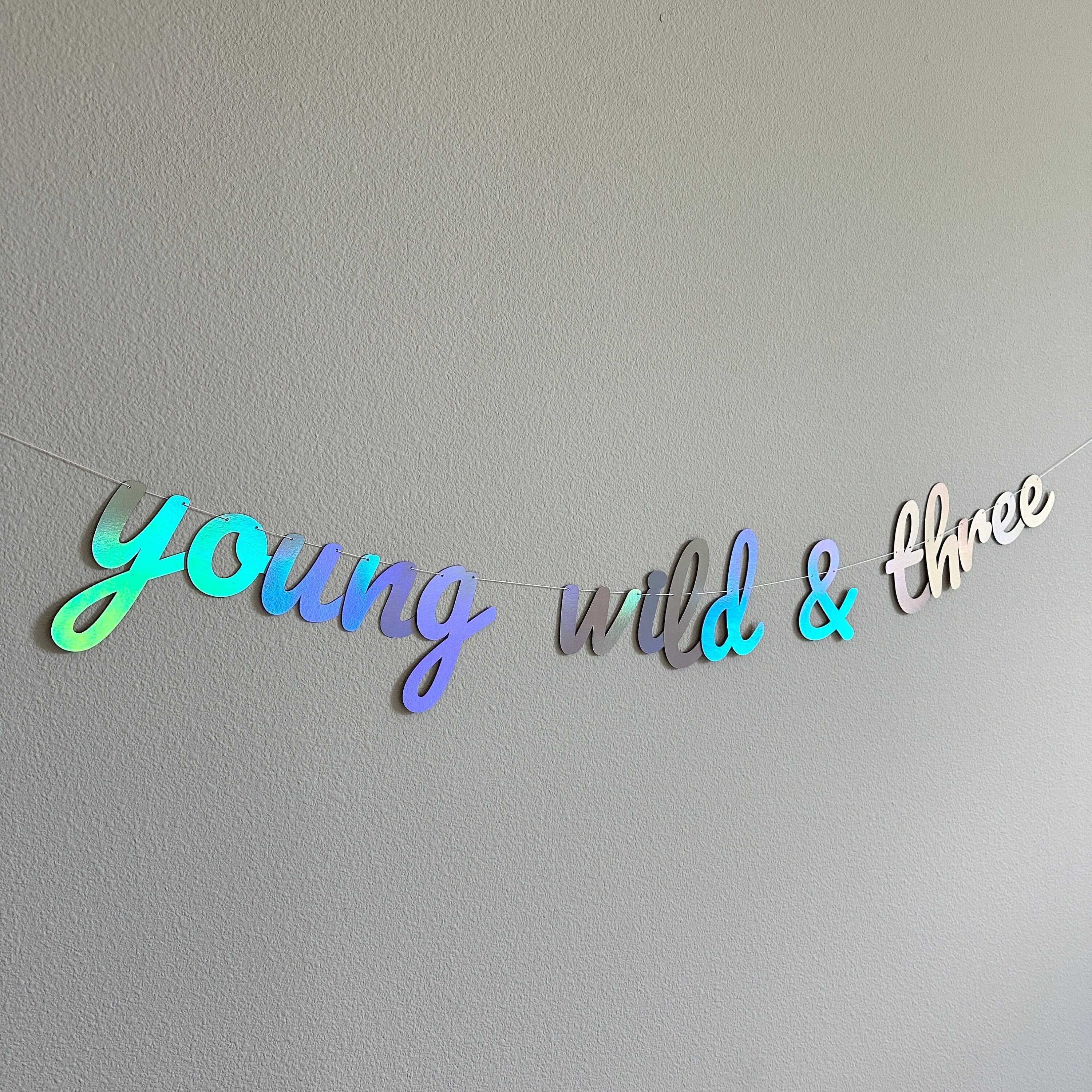 Young Wild & Three, Young Wild and Three Banner, 3rd Birthday Party, 3rd Birthday Banner, 3rd Birthday Party Decor, Holographic Banne