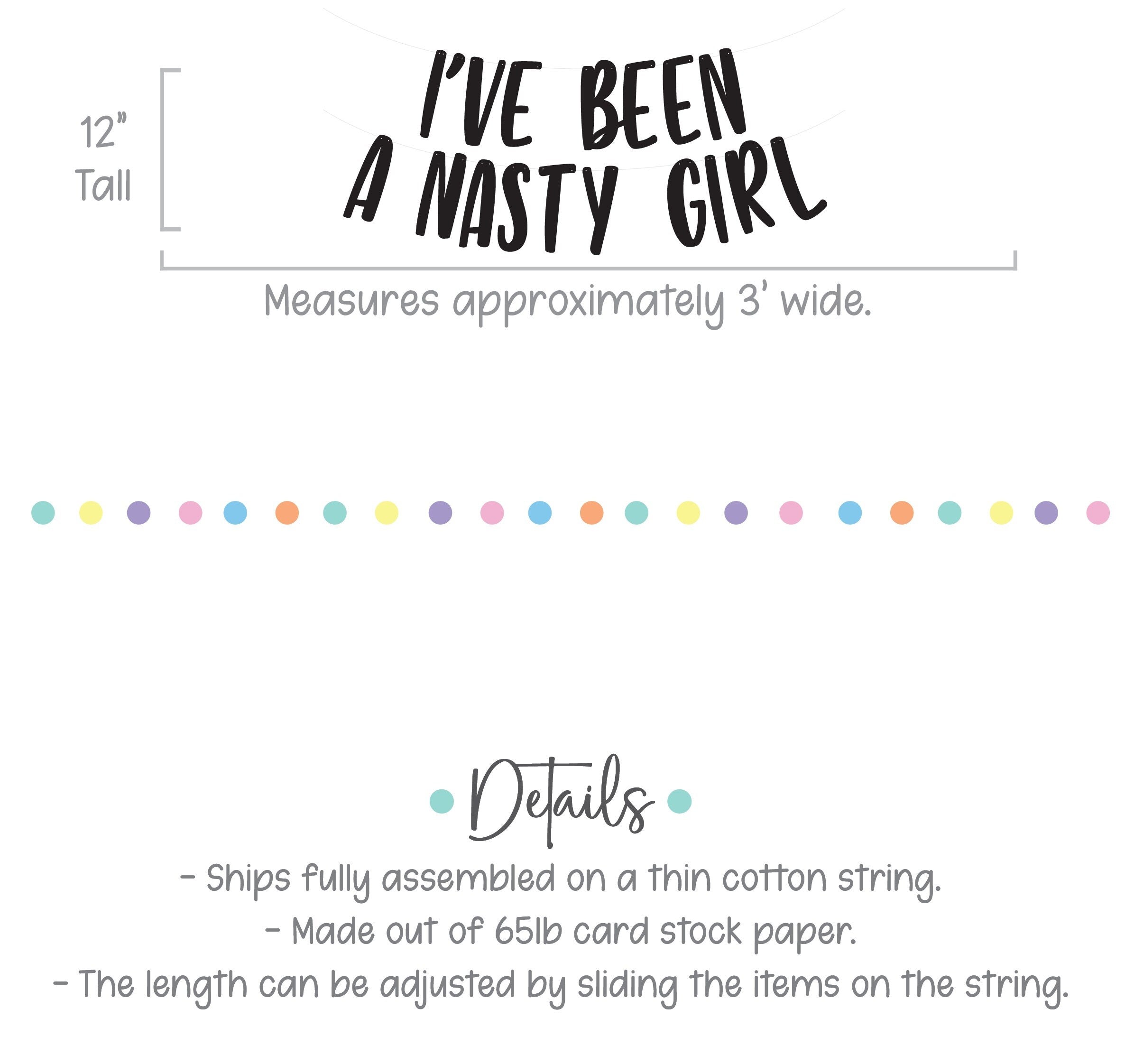 I&#39;ve Been A Nasty Girl, I&#39;ve Been A Nasty Girl Banner, Girls Night Decorations, Bachelorette Party Decorations, Girl&#39;s Weekend Getaway