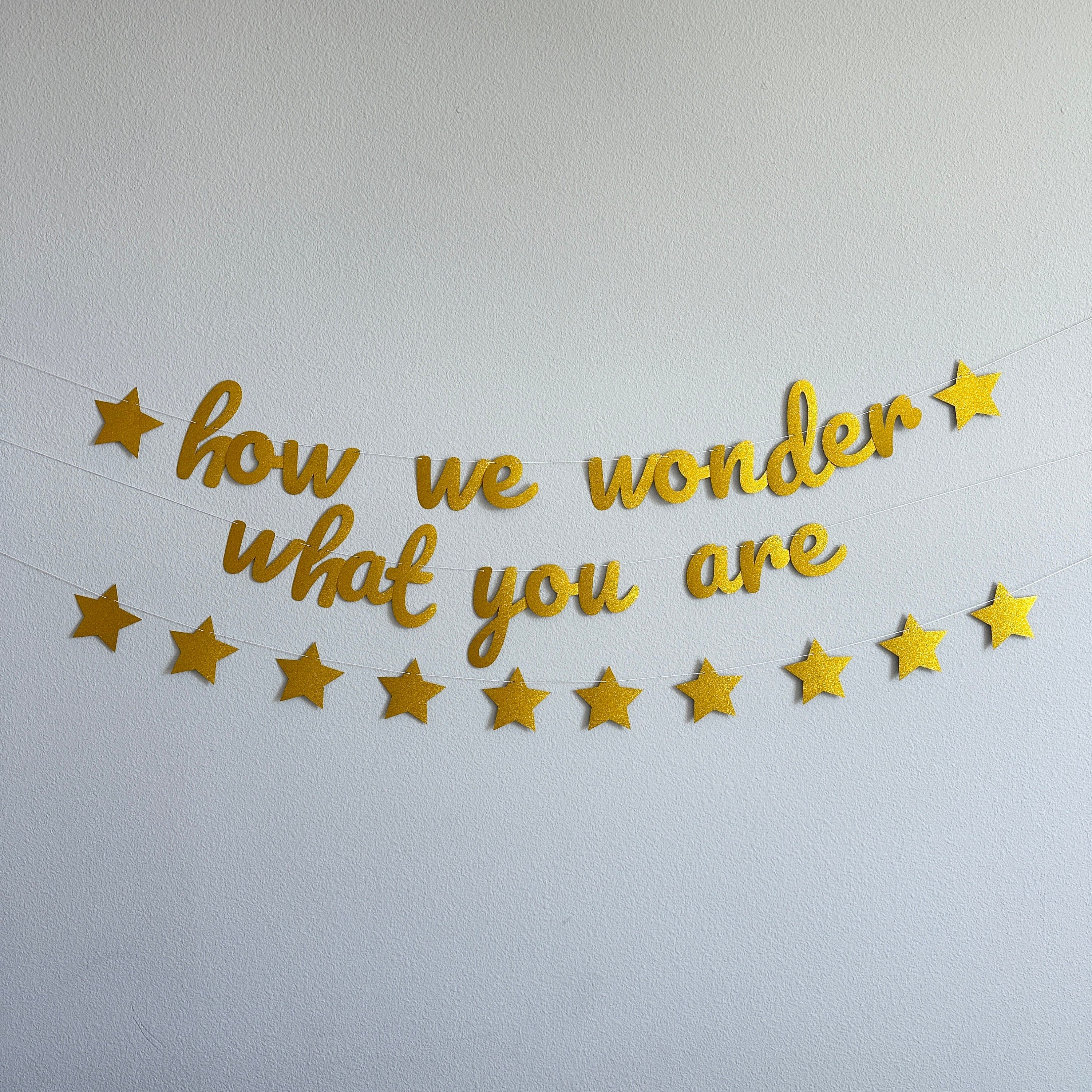 How We Wonder What You Are, Gender Reveal Party Decorations, Baby Shower Banner, Twinkle Twinkle Baby Shower Theme