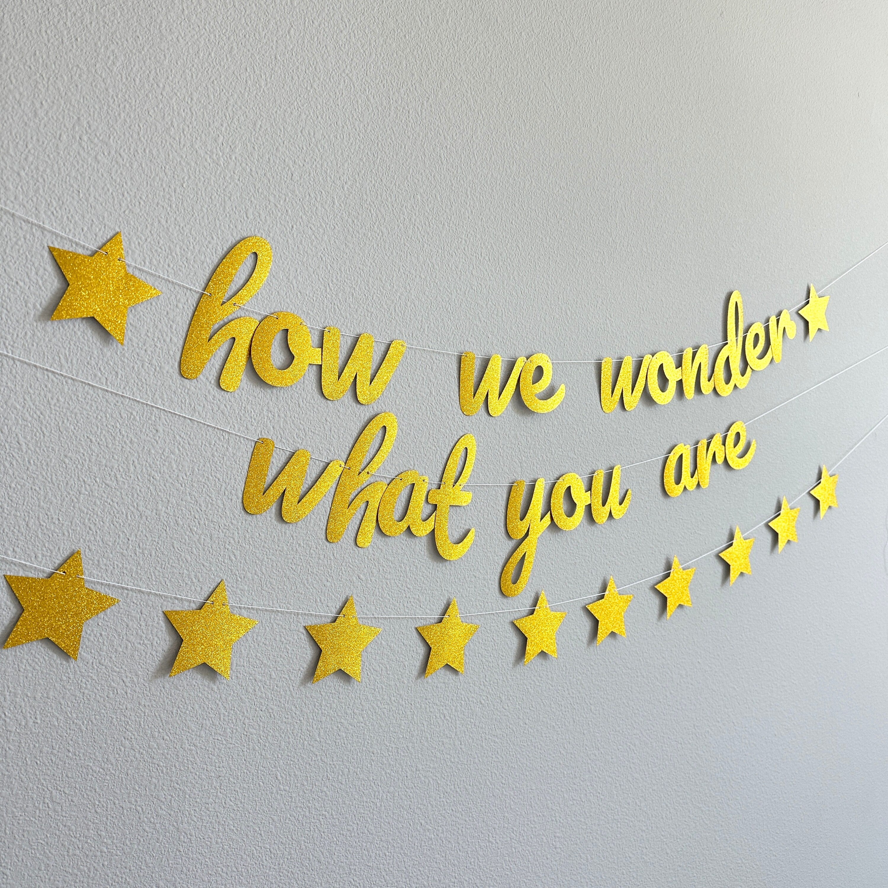 How We Wonder What You Are, Gender Reveal Party Decorations, Baby Shower Banner, Twinkle Twinkle Baby Shower Theme
