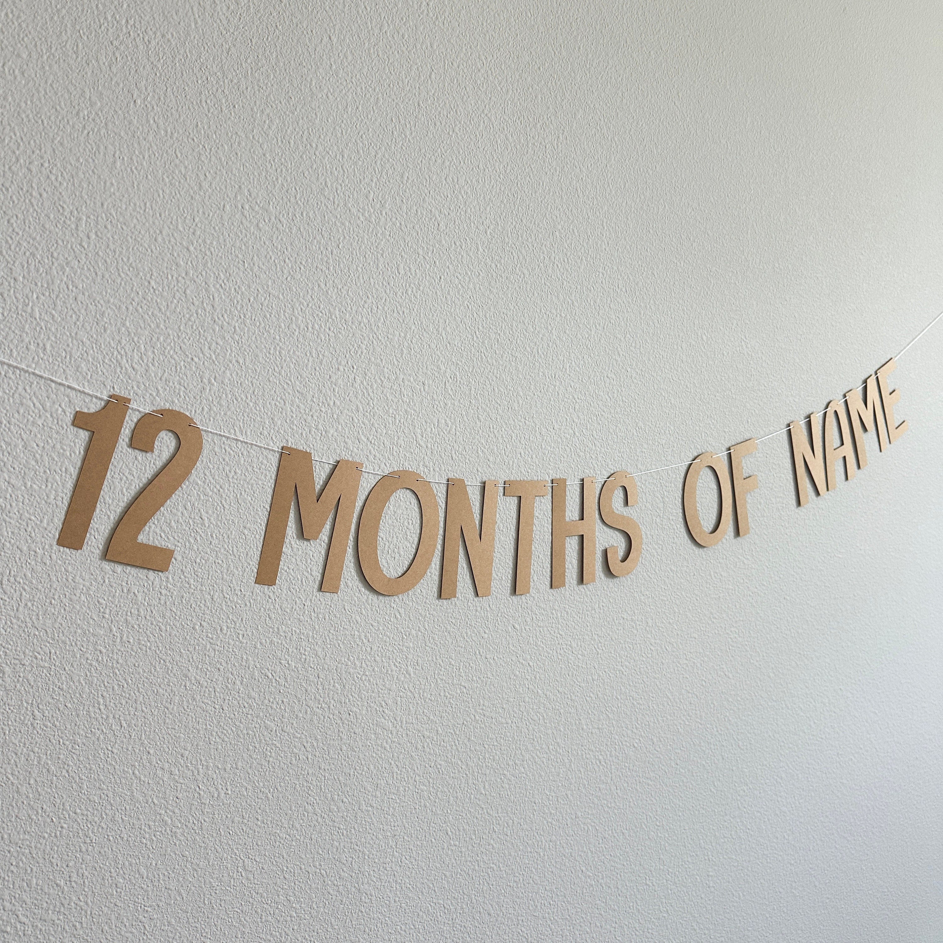 12 Months Of Name Banner, 1st birthday Decorations, Milestone Decorations, Milestone Banner