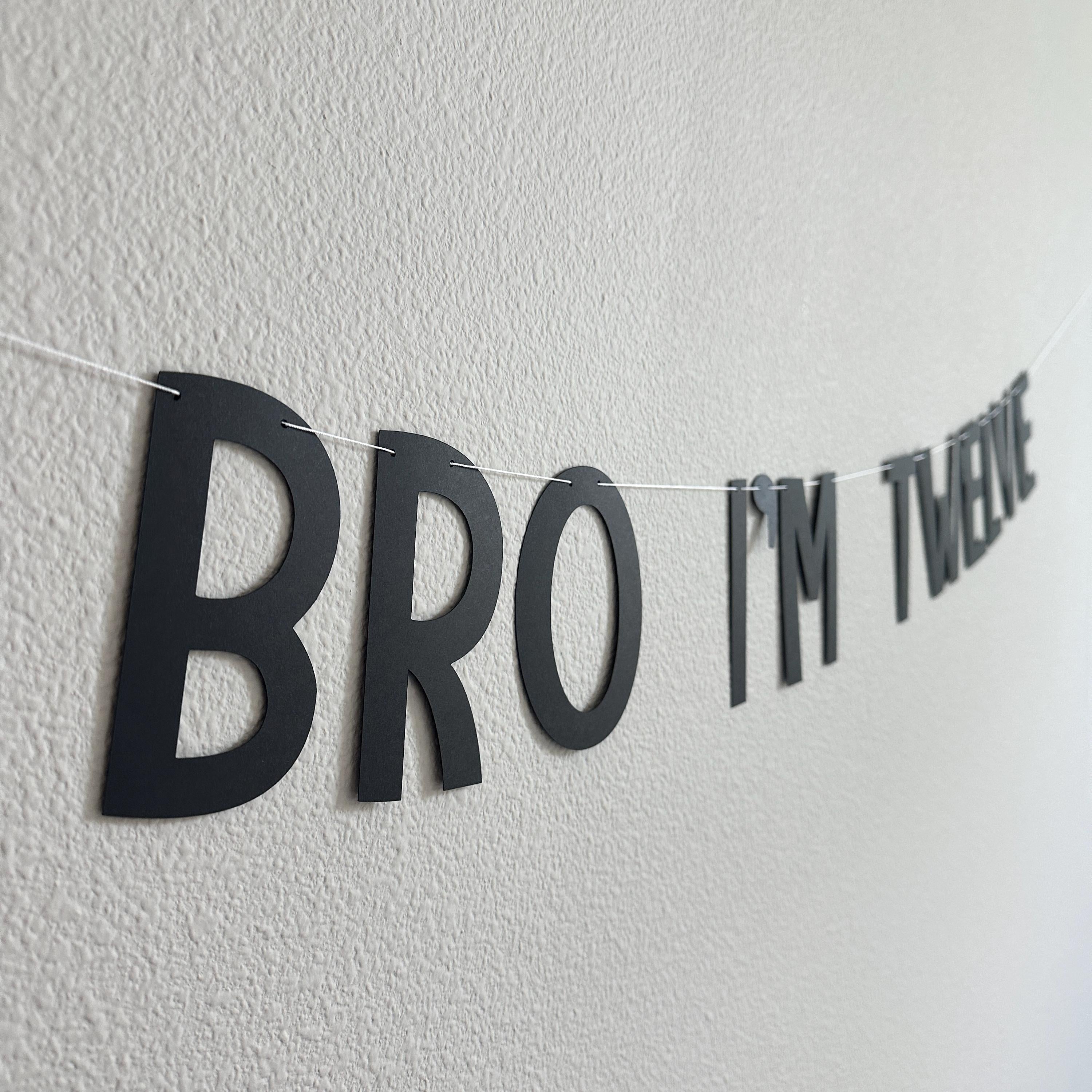 Bro I&#39;m Twelve, Bro Birthday Banner, Bro Birthday, Bro I&#39;m Age Decorations, Bro Decorations, 12th Birthday Banner, 12th birthday Party Ideas