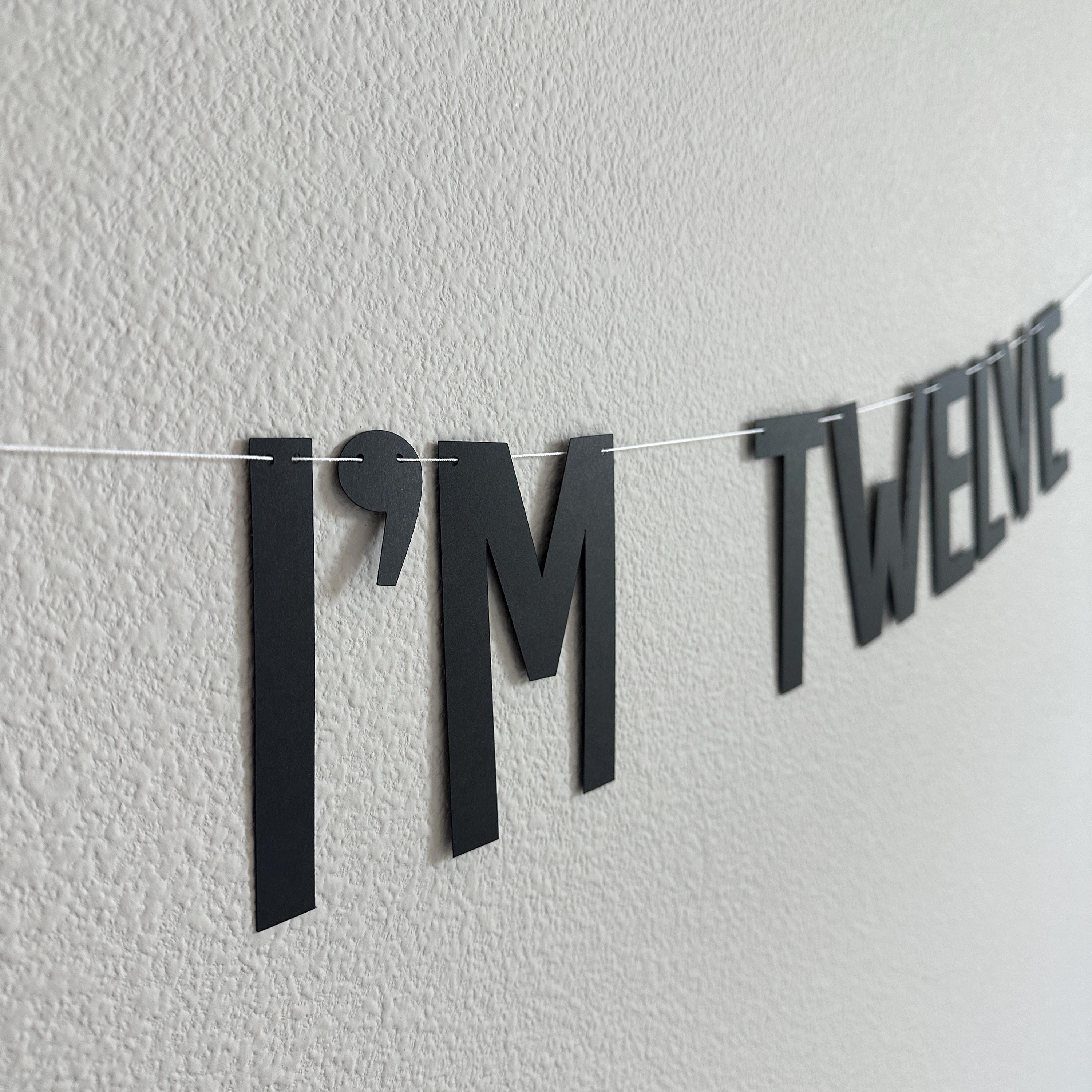 Bro I&#39;m Twelve, Bro Birthday Banner, Bro Birthday, Bro I&#39;m Age Decorations, Bro Decorations, 12th Birthday Banner, 12th birthday Party Ideas