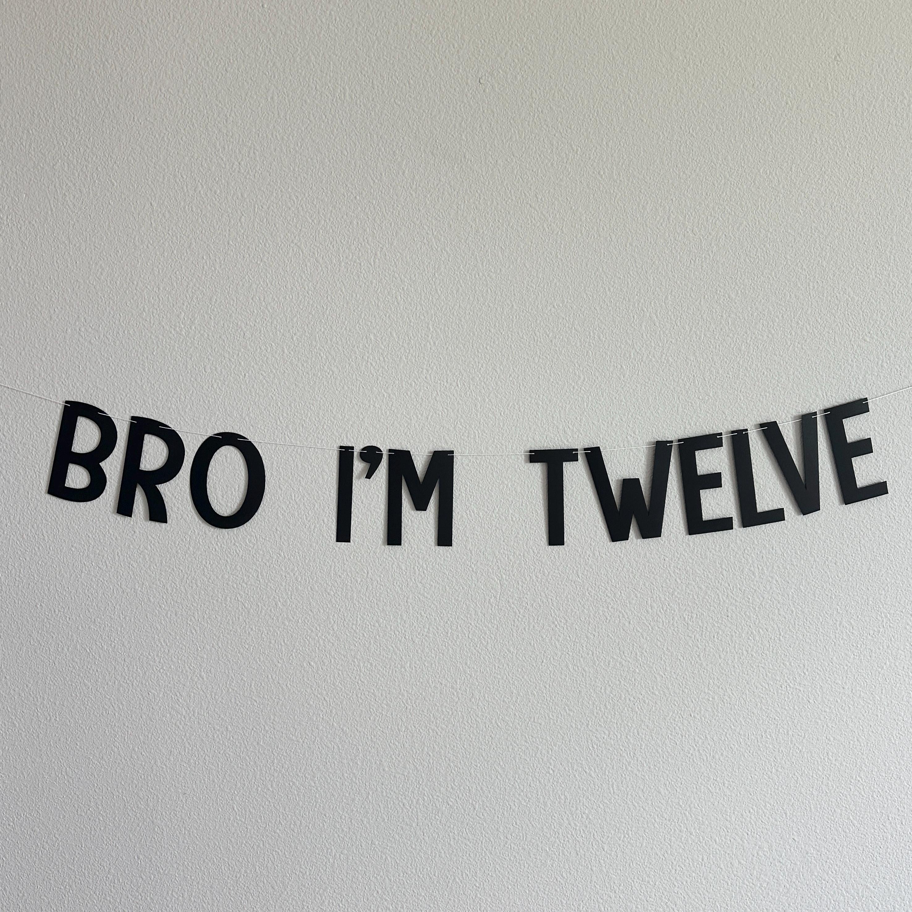 Bro I&#39;m Twelve, Bro Birthday Banner, Bro Birthday, Bro I&#39;m Age Decorations, Bro Decorations, 12th Birthday Banner, 12th birthday Party Ideas