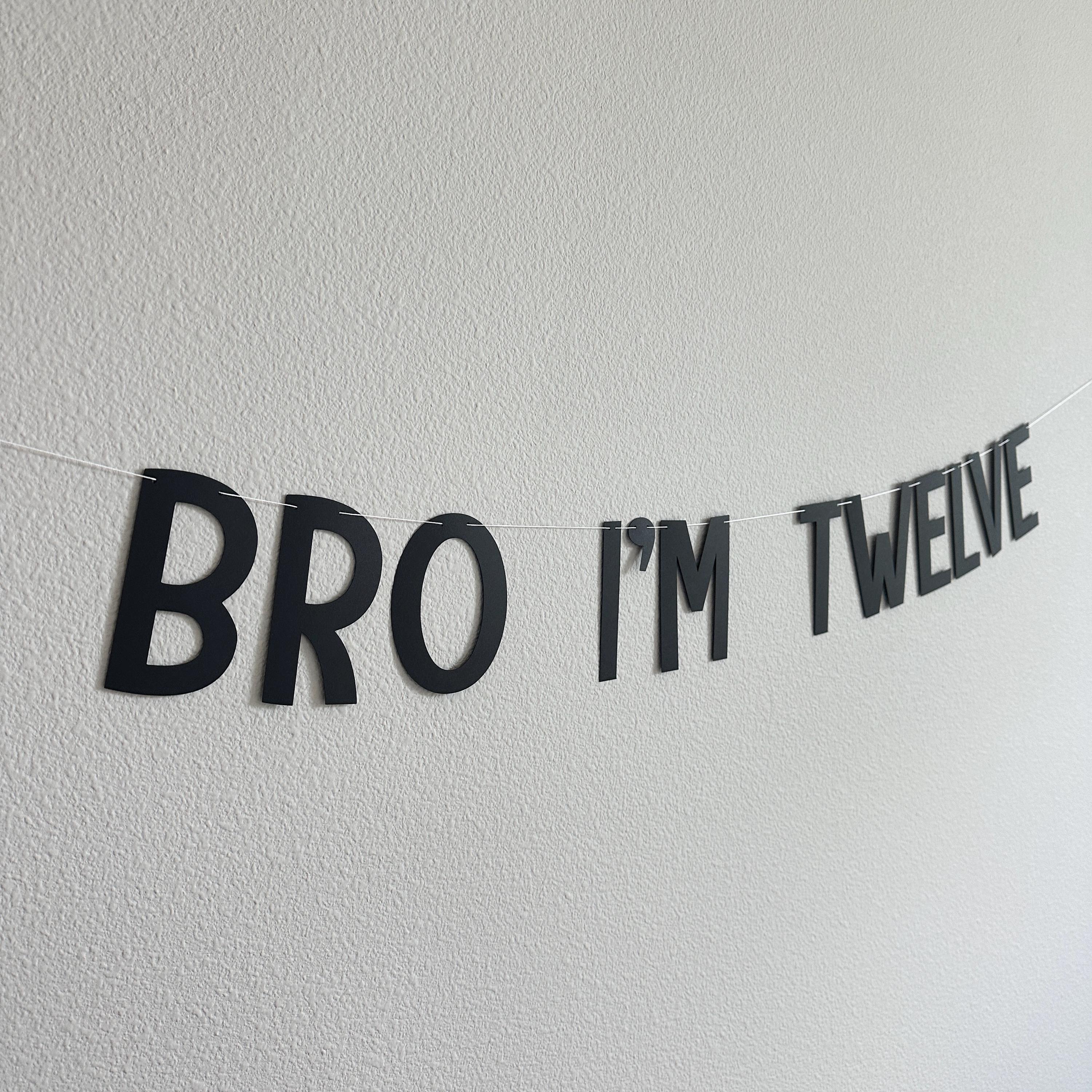 Bro I&#39;m Twelve, Bro Birthday Banner, Bro Birthday, Bro I&#39;m Age Decorations, Bro Decorations, 12th Birthday Banner, 12th birthday Party Ideas