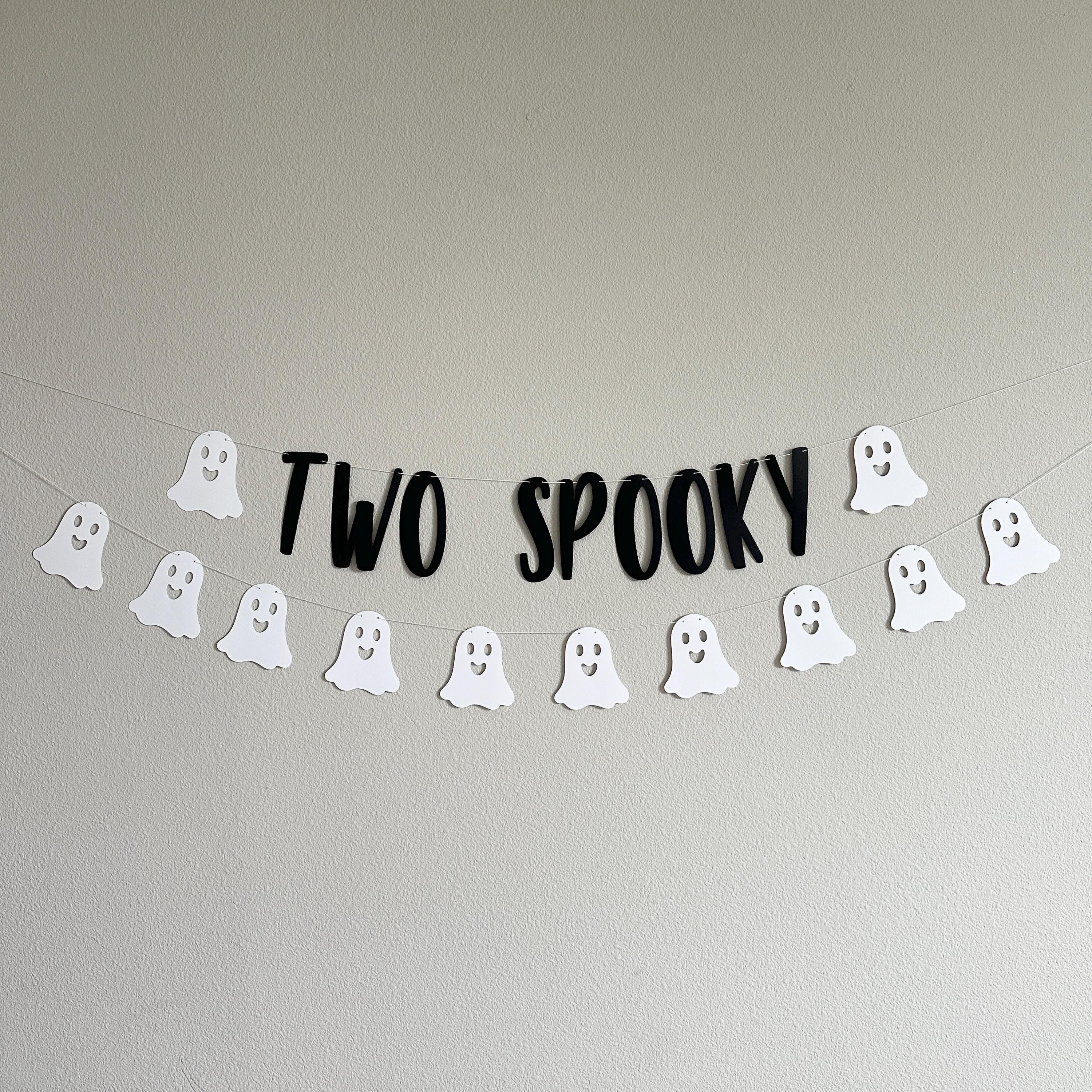 Two Spooky, Two Spooky Banner, Two Spooky Decorations, Halloween 2nd Birthday, Halloween Second Birthday, October 2nd Birthday