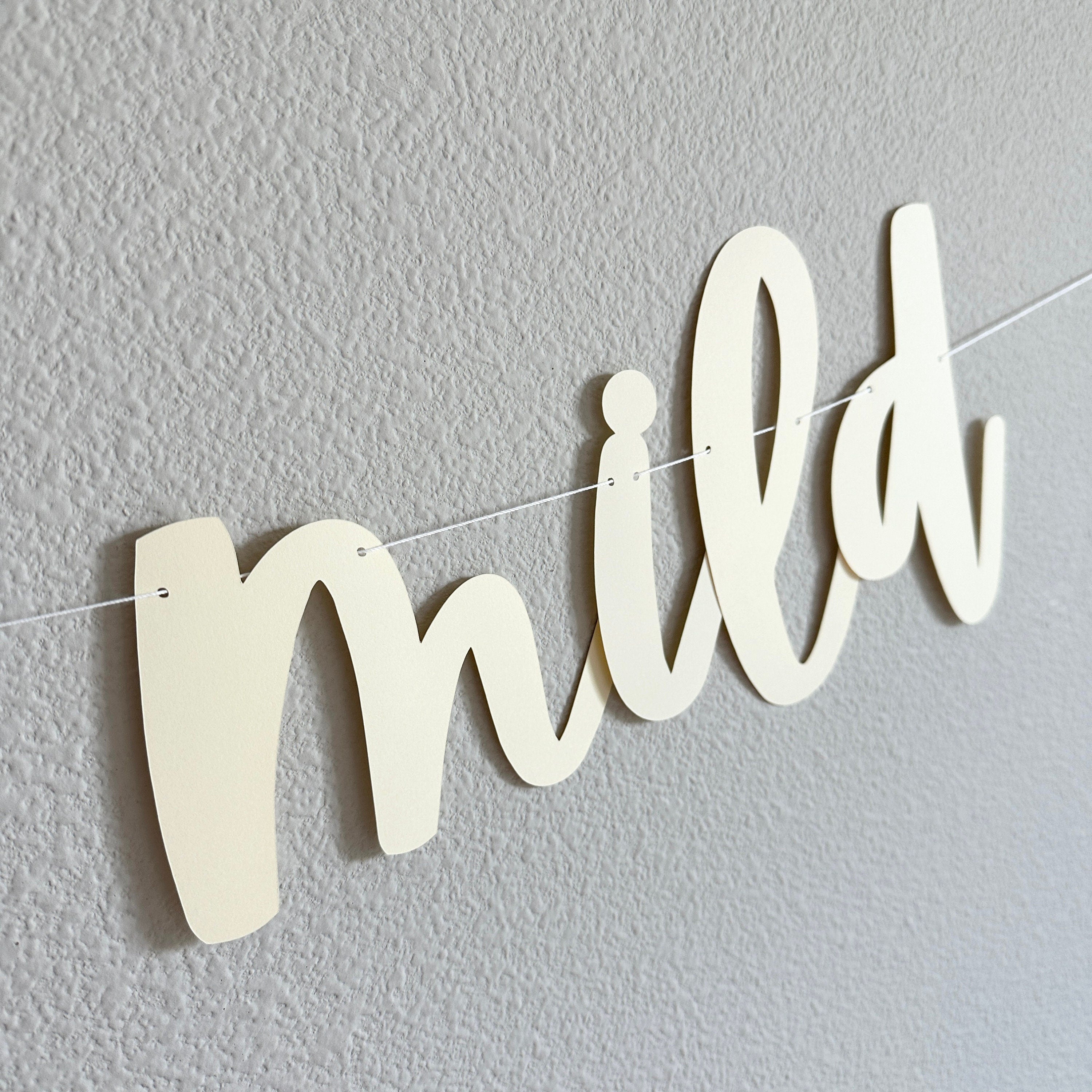 Girls Gone Mild, Girls Gone Mild Decorations, Girls Gone Mild Banner, Bachelorette Ideas, Girls Weekend Decorations, Girls Night