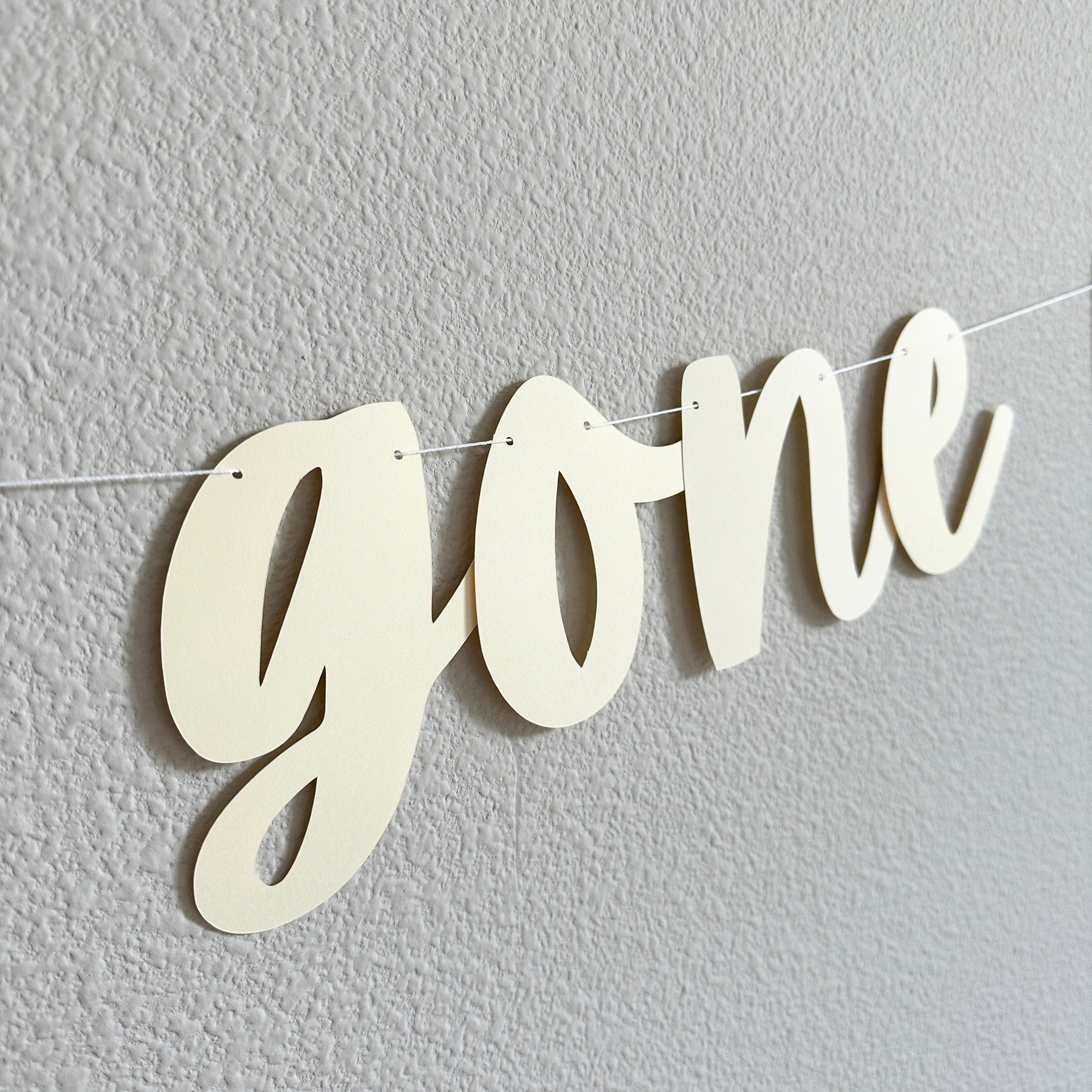 Girls Gone Mild, Girls Gone Mild Decorations, Girls Gone Mild Banner, Bachelorette Ideas, Girls Weekend Decorations, Girls Night