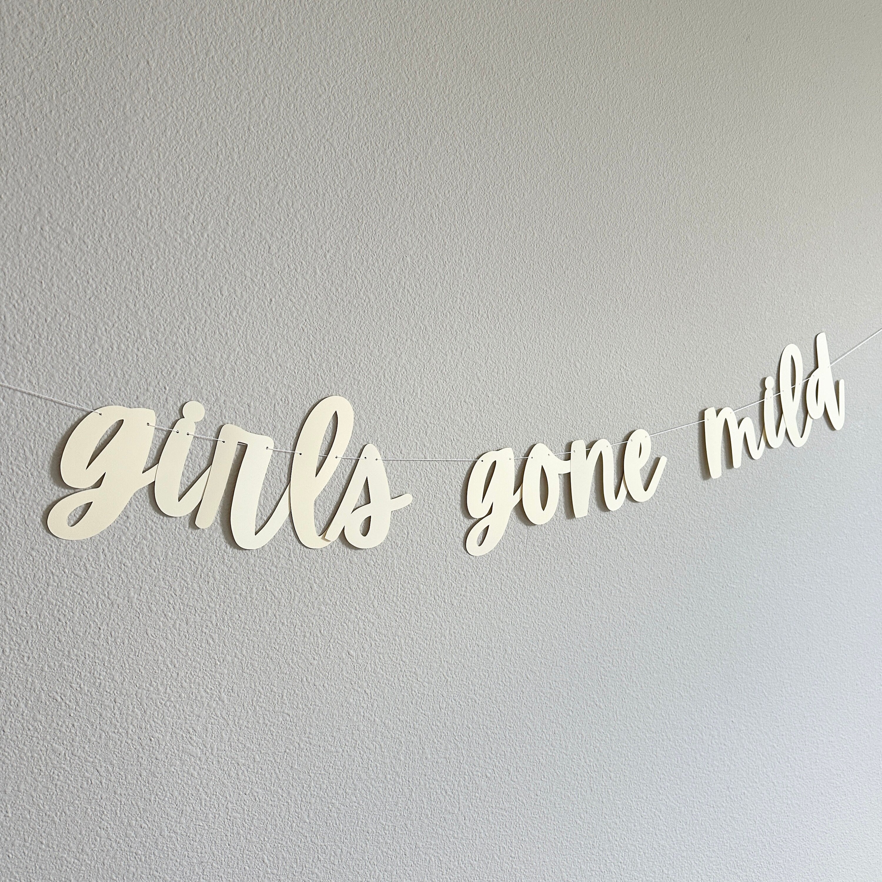 Girls Gone Mild, Girls Gone Mild Decorations, Girls Gone Mild Banner, Bachelorette Ideas, Girls Weekend Decorations, Girls Night