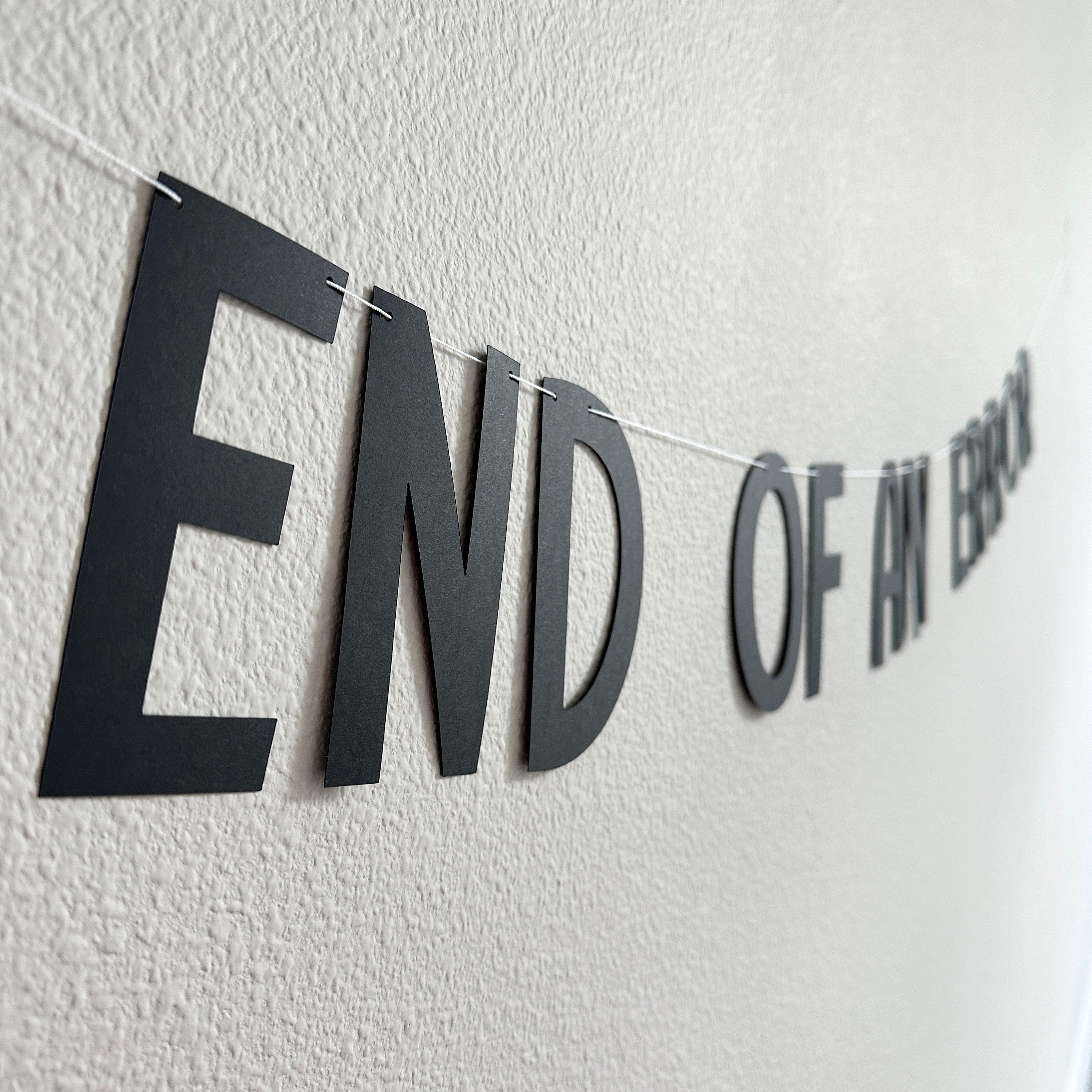 End Of An Error, End Of An Error Banner, Divorce Party, Divorce Party Decorations, Funny Divorce Party, Divorce Celebration