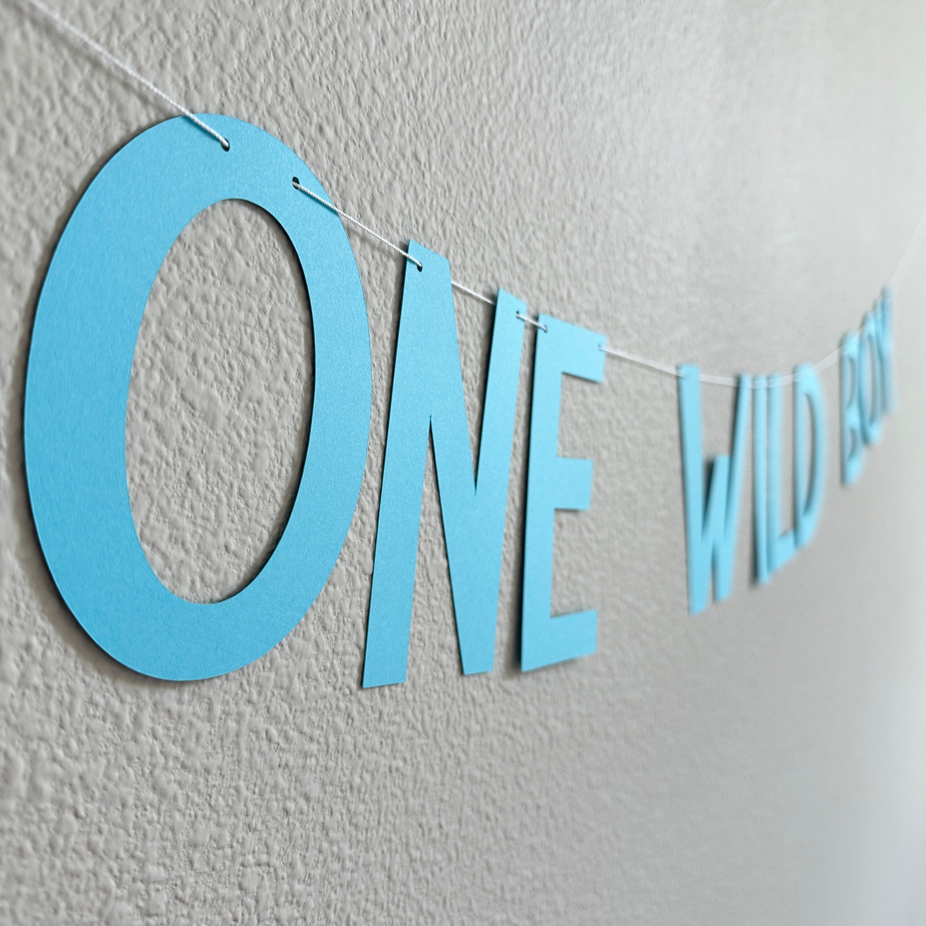 One Wild Boy, Boy 1st Birthday Banner, 1st Birthday Decorations, 1st Birthday Theme Ideas, One Wild Boy Banner, Boy 1st Birthday Party
