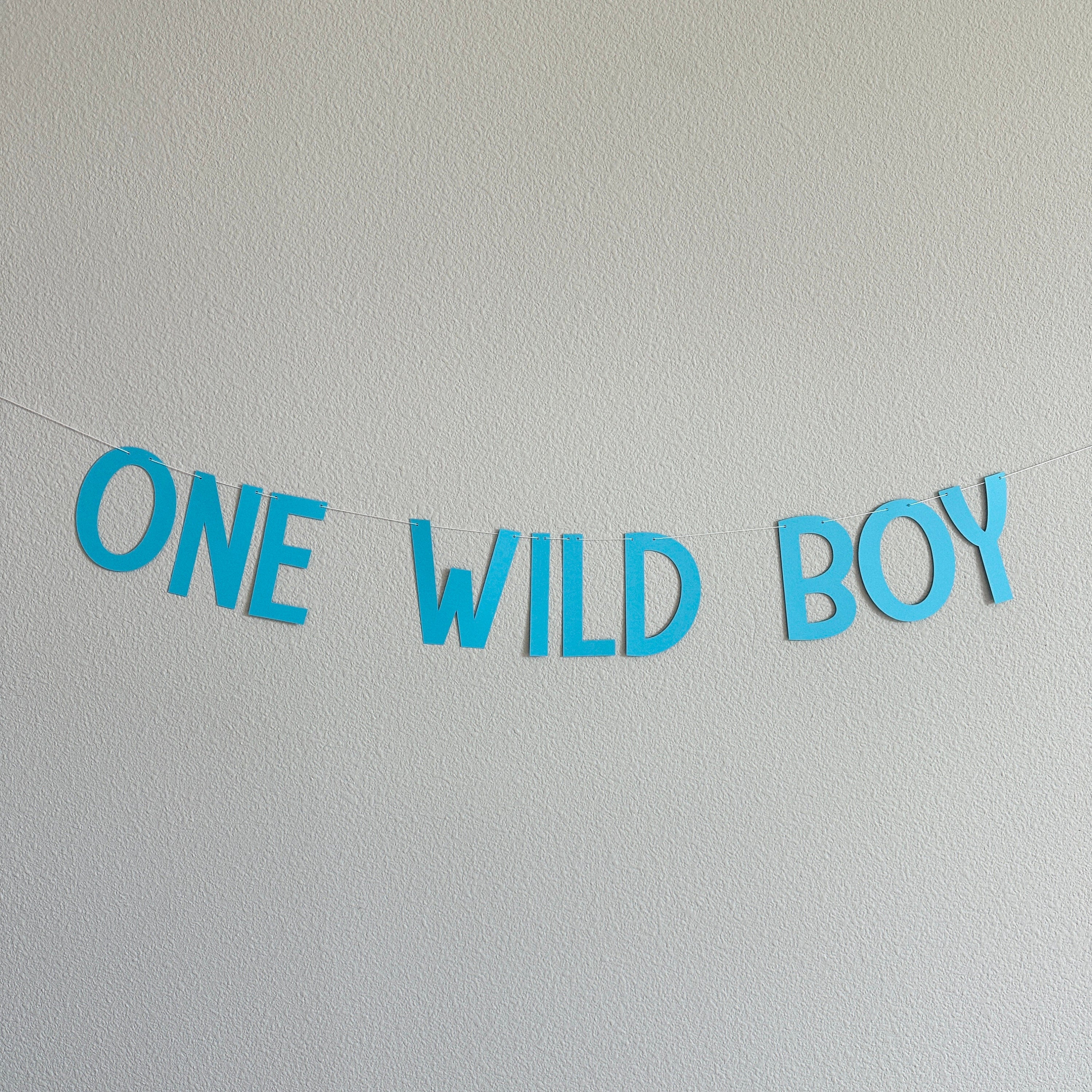 One Wild Boy, Boy 1st Birthday Banner, 1st Birthday Decorations, 1st Birthday Theme Ideas, One Wild Boy Banner, Boy 1st Birthday Party