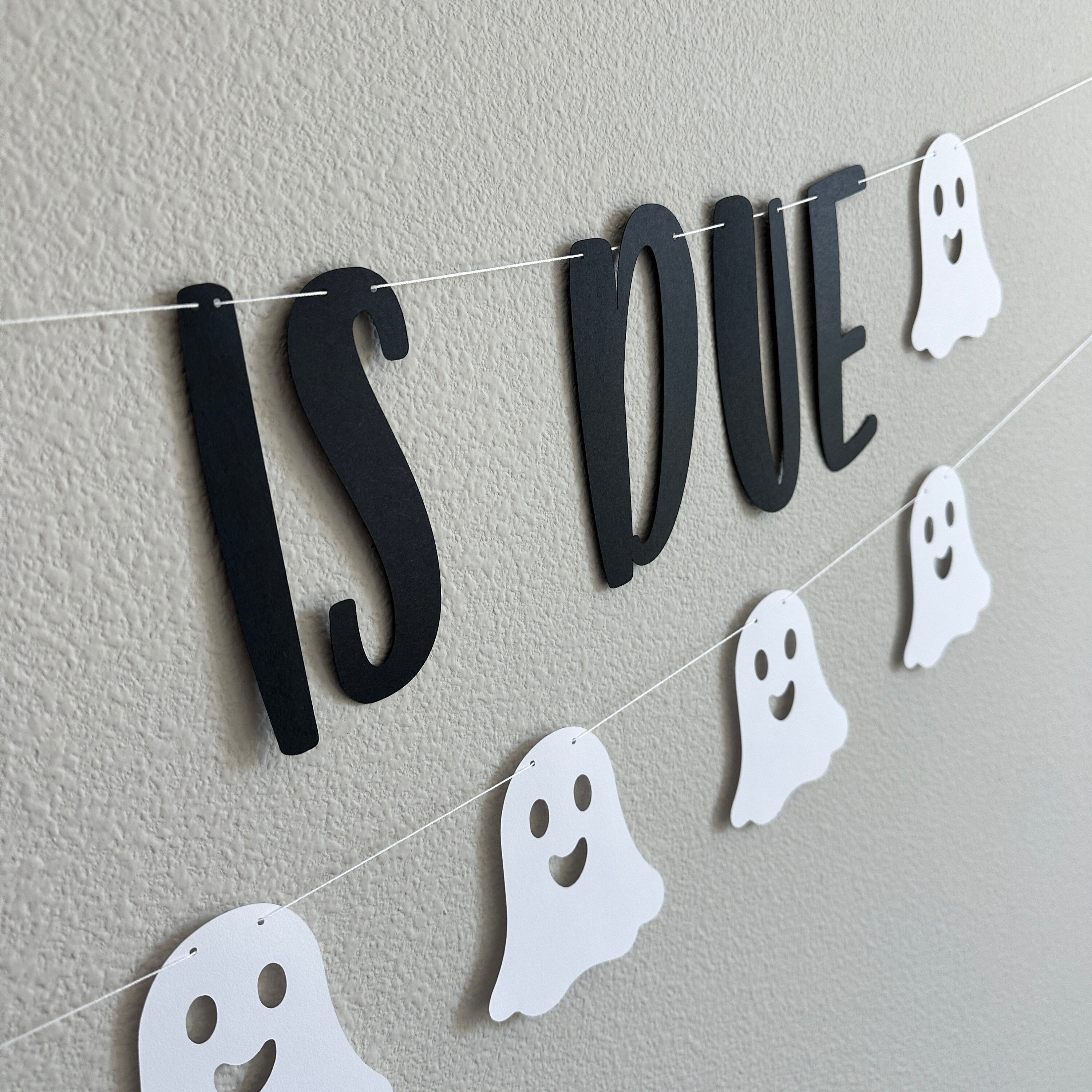 A Little Boo Is Due, A Little Boo Is Due Banner, A Little Boo Is Due Decorations, October Baby Shower, Halloween Baby Shower